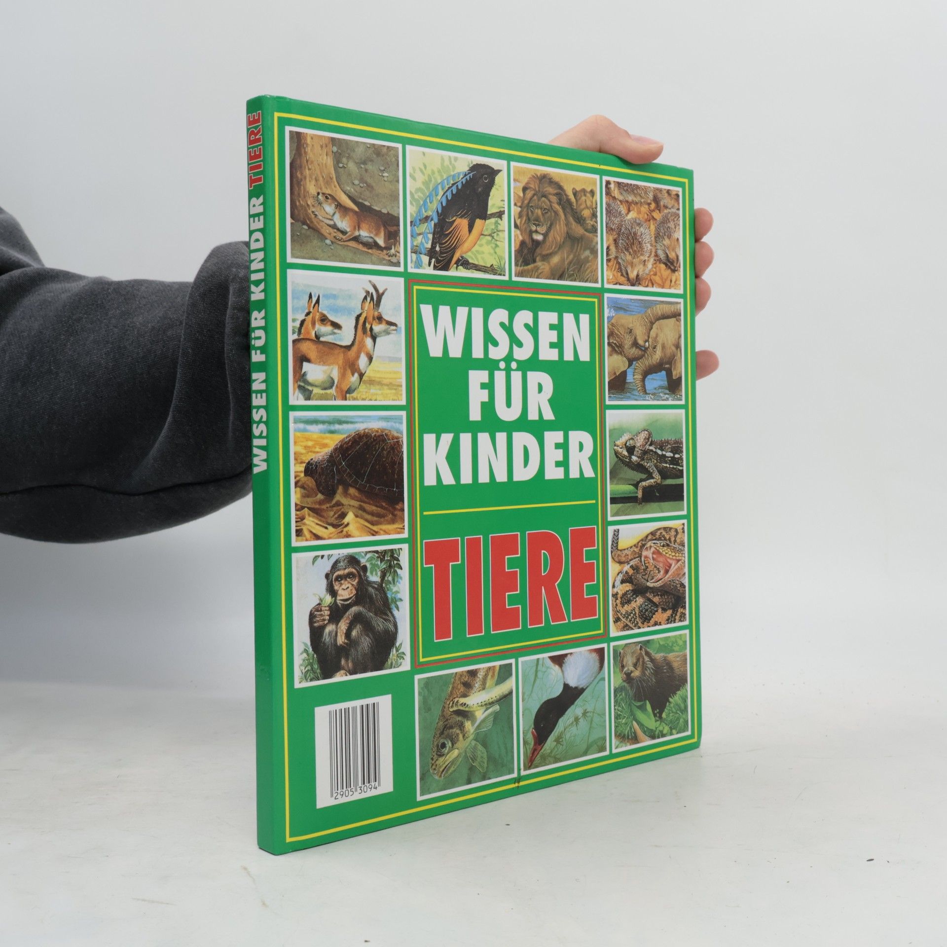 Michele Stable Tiere. Wissen für Kinder