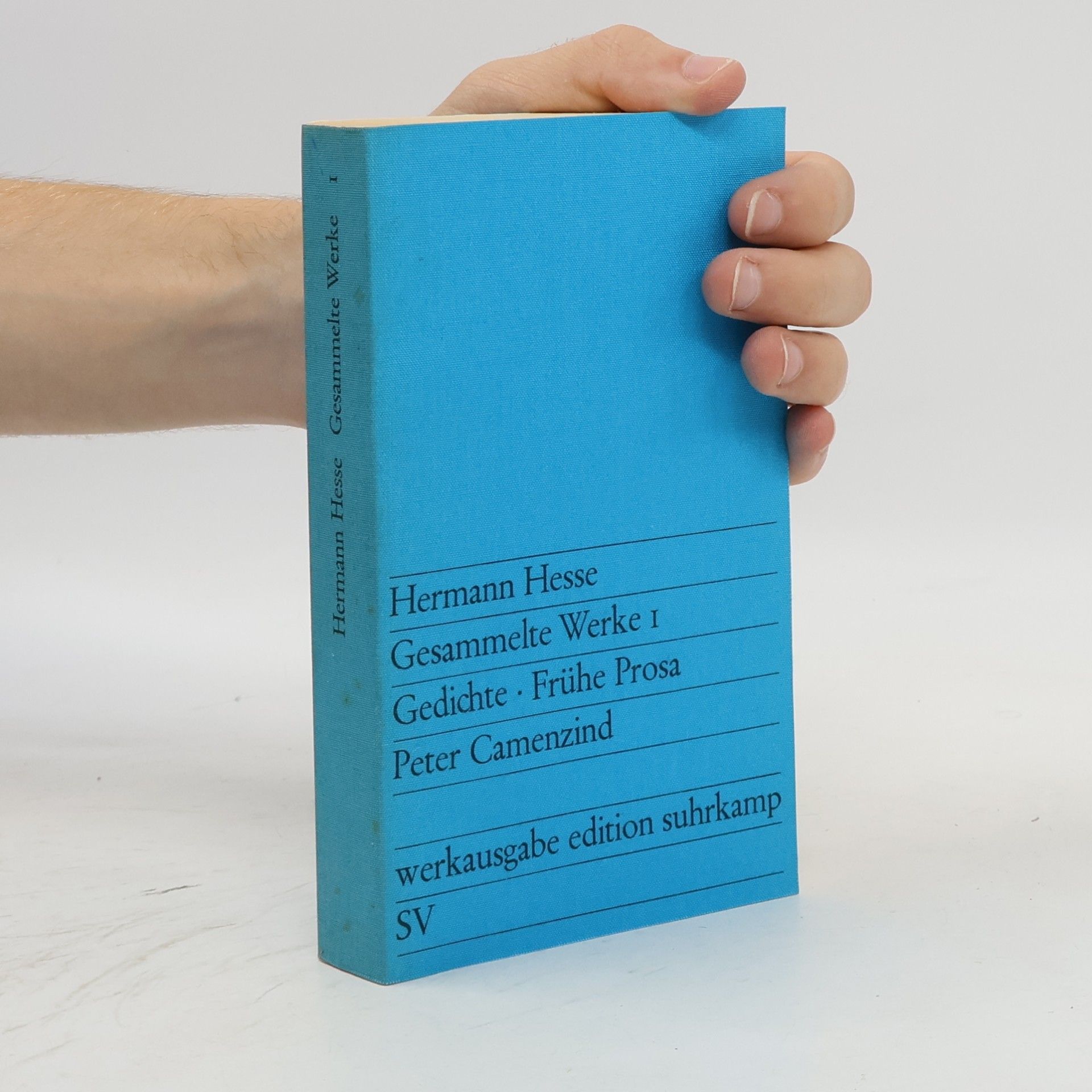 Hermann Hesse Gesammelte Werke 1. Gedichte - Frühe Prosa - Peter Camenzind