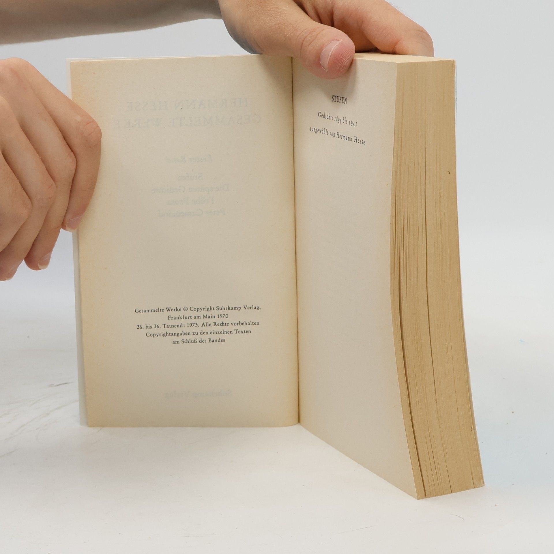 Hermann Hesse Gesammelte Werke 1. Gedichte - Frühe Prosa - Peter Camenzind