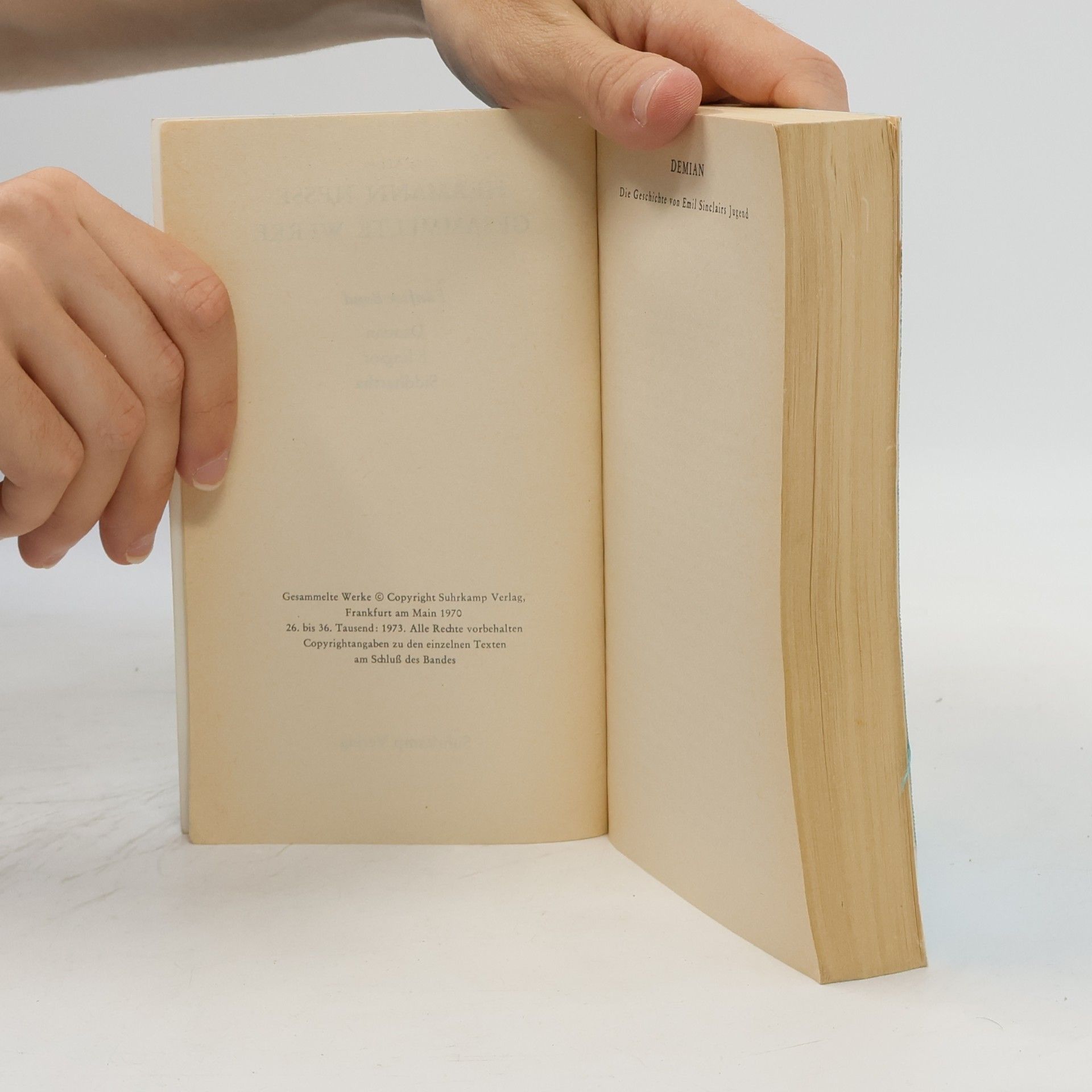 Hermann Hesse Gesammelte Werke 5: Demian, Klingsor, Siddharta