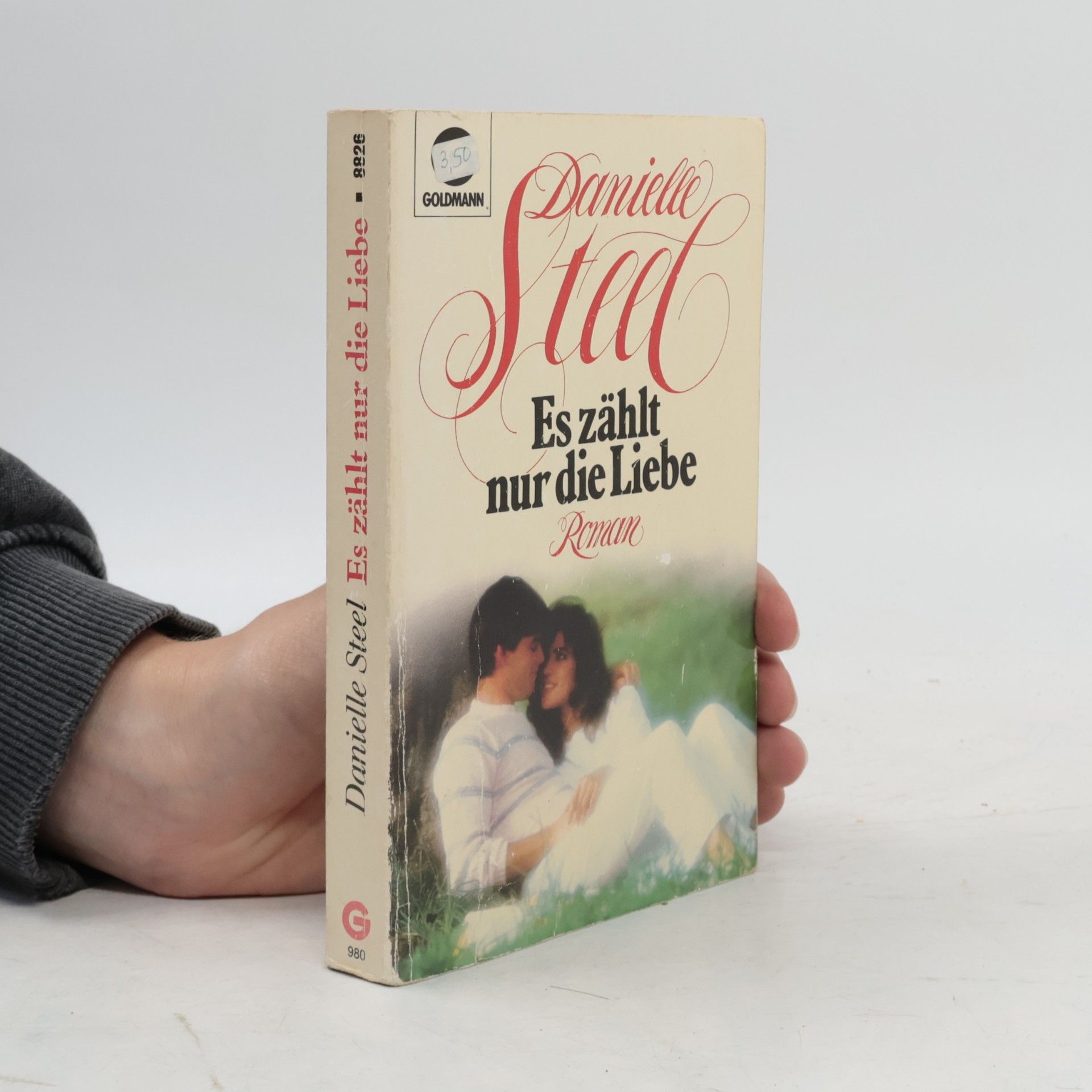 Danielle Steel Es zählt nur die Liebe