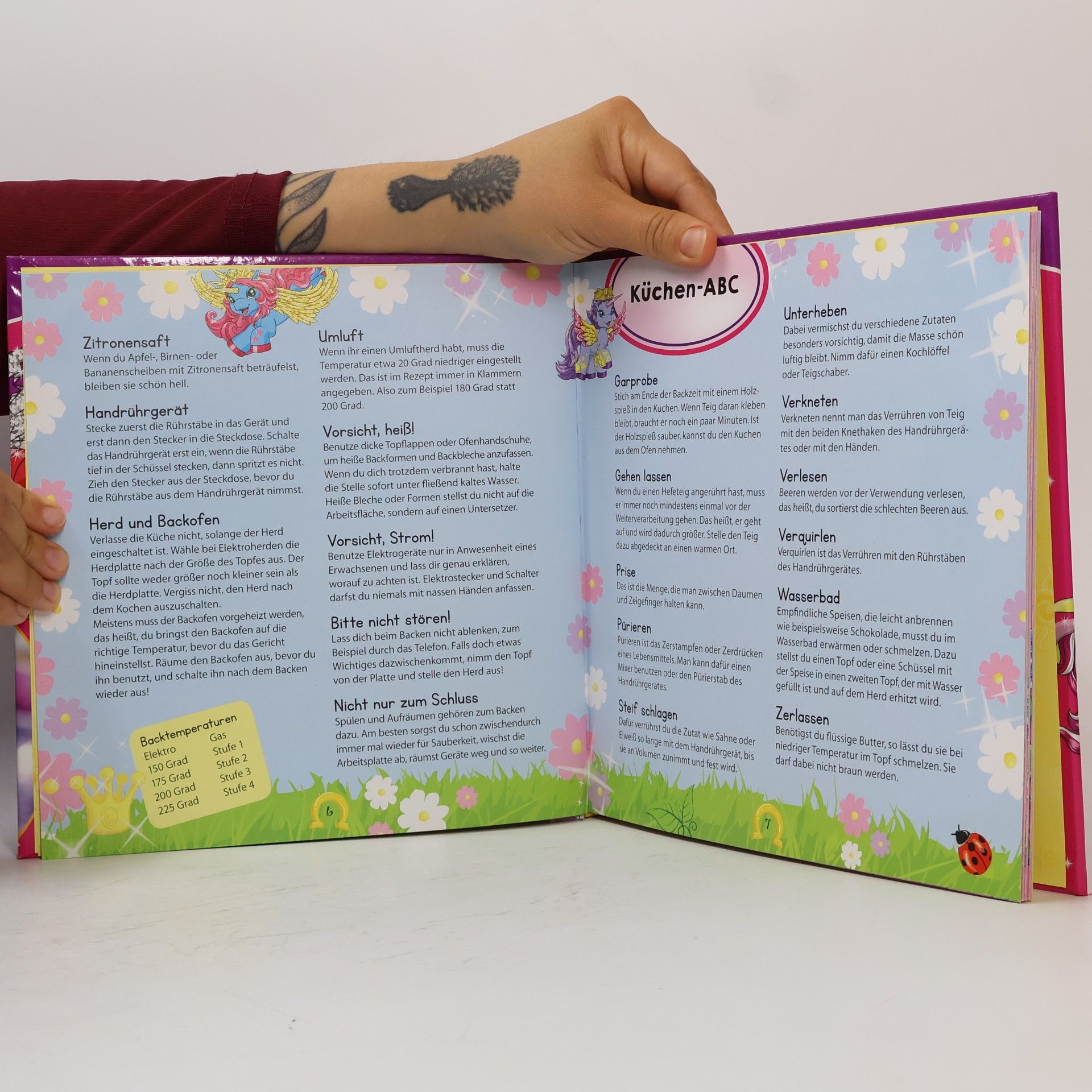 Autorenkollektiv Filly - mein Backbuch