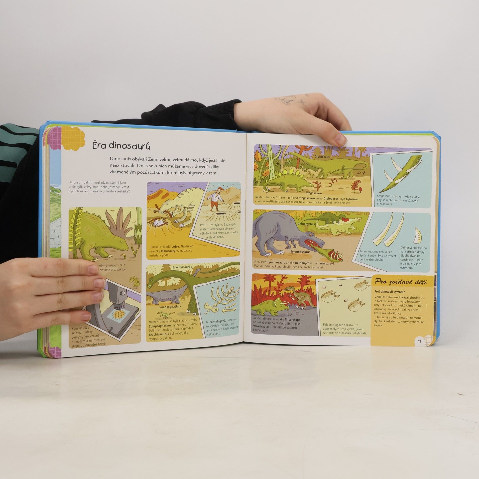 Autorenkollektiv Malá dětská encyklopedie : 3-6 let