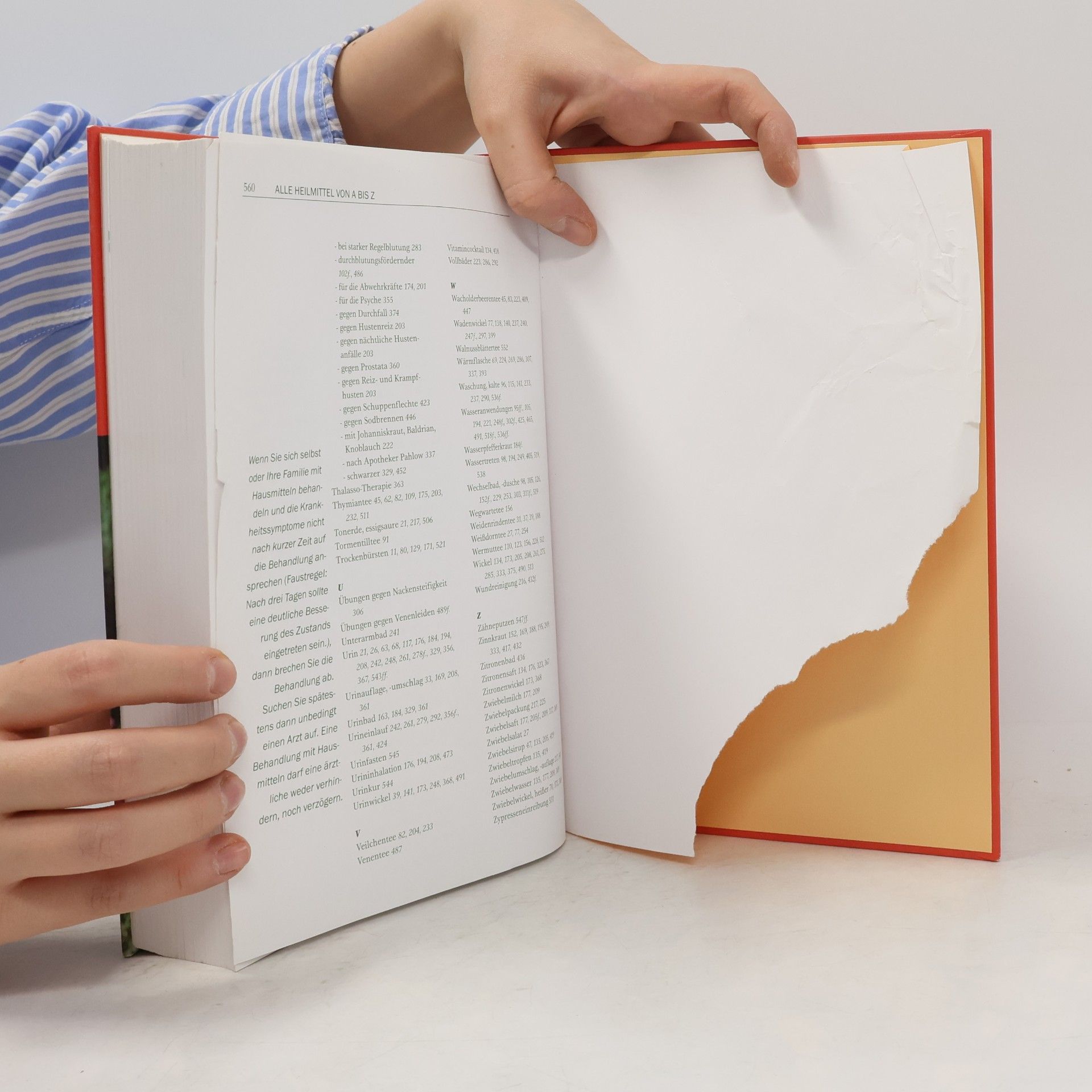 Eberhard J. Wormer Omas großes Buch der Hausmittel