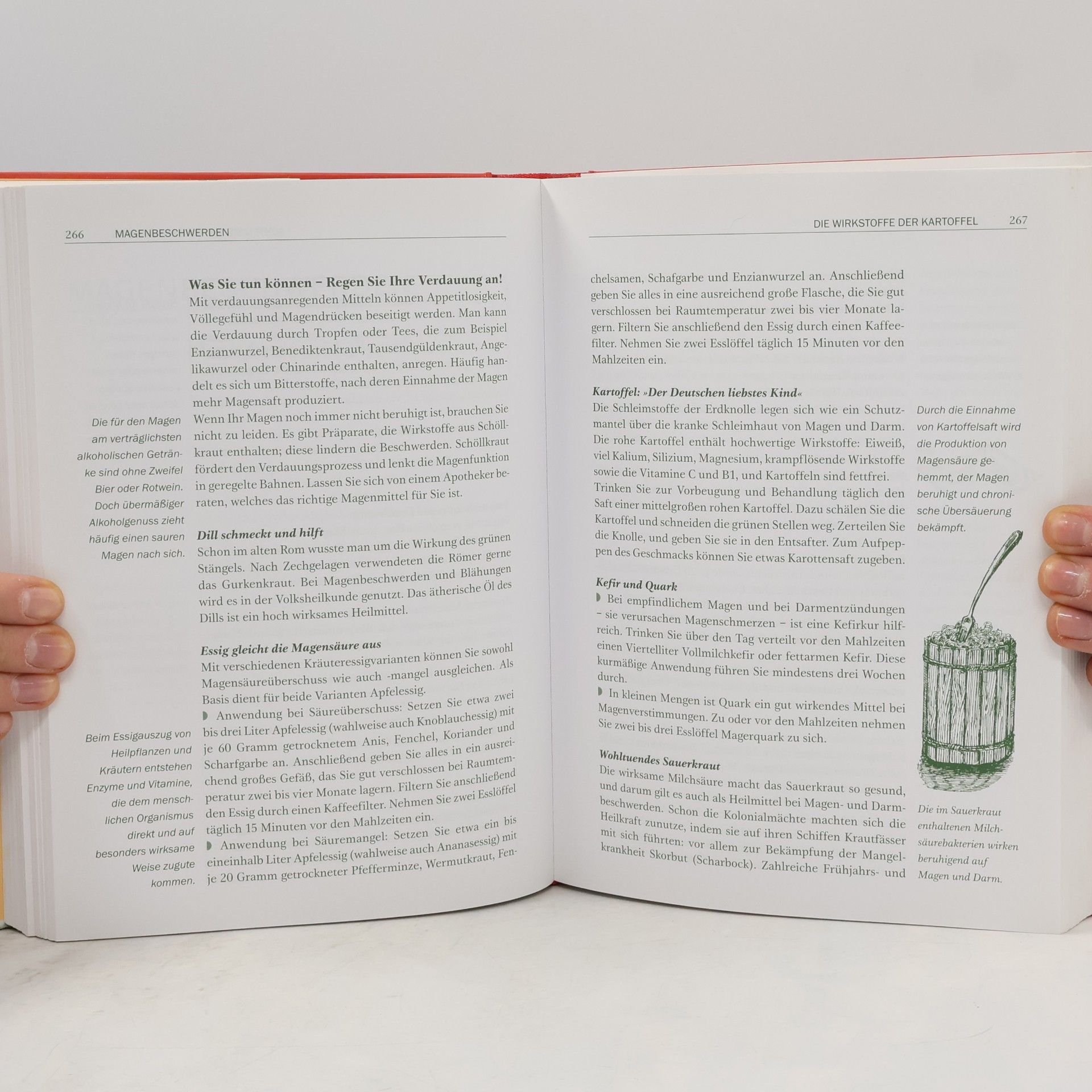 Eberhard J. Wormer Omas großes Buch der Hausmittel