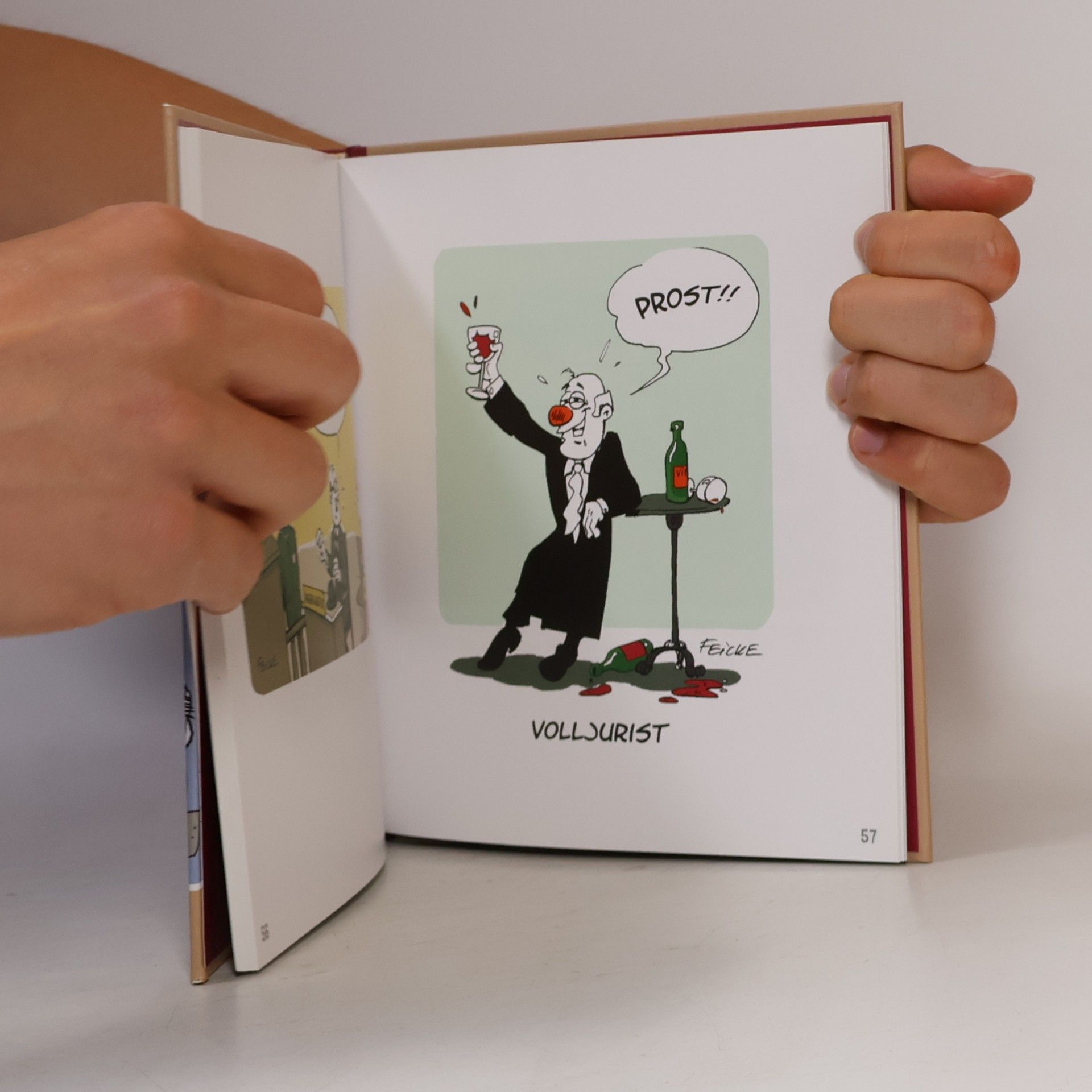 Tim Oliver Feicke Christian Dornis Cartoon-Geschenkbücher: Juristen!