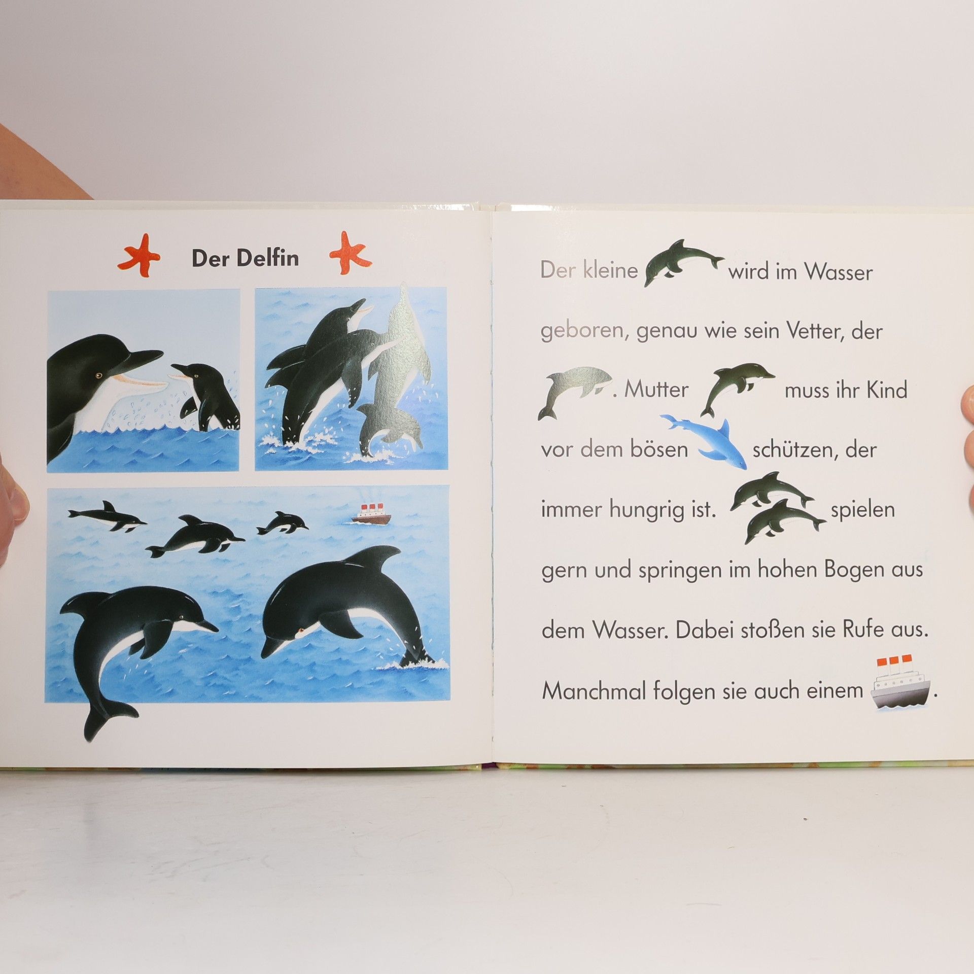 Yvette Barbetti Die Tiere im Meer
