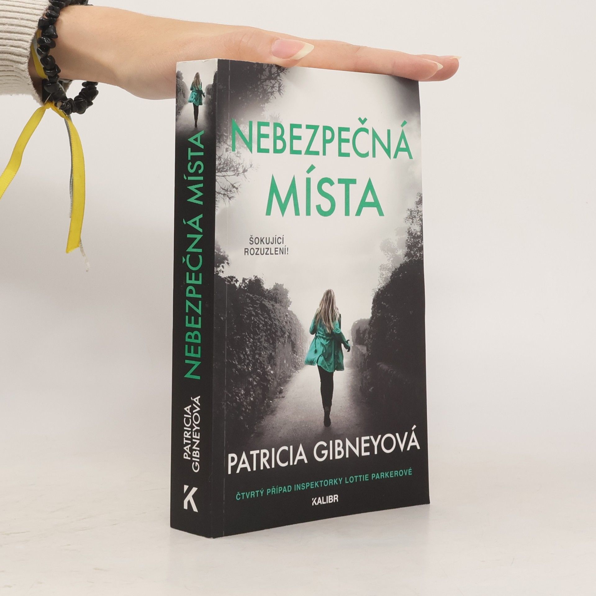 Patricia Gibney Nebezpečná místa