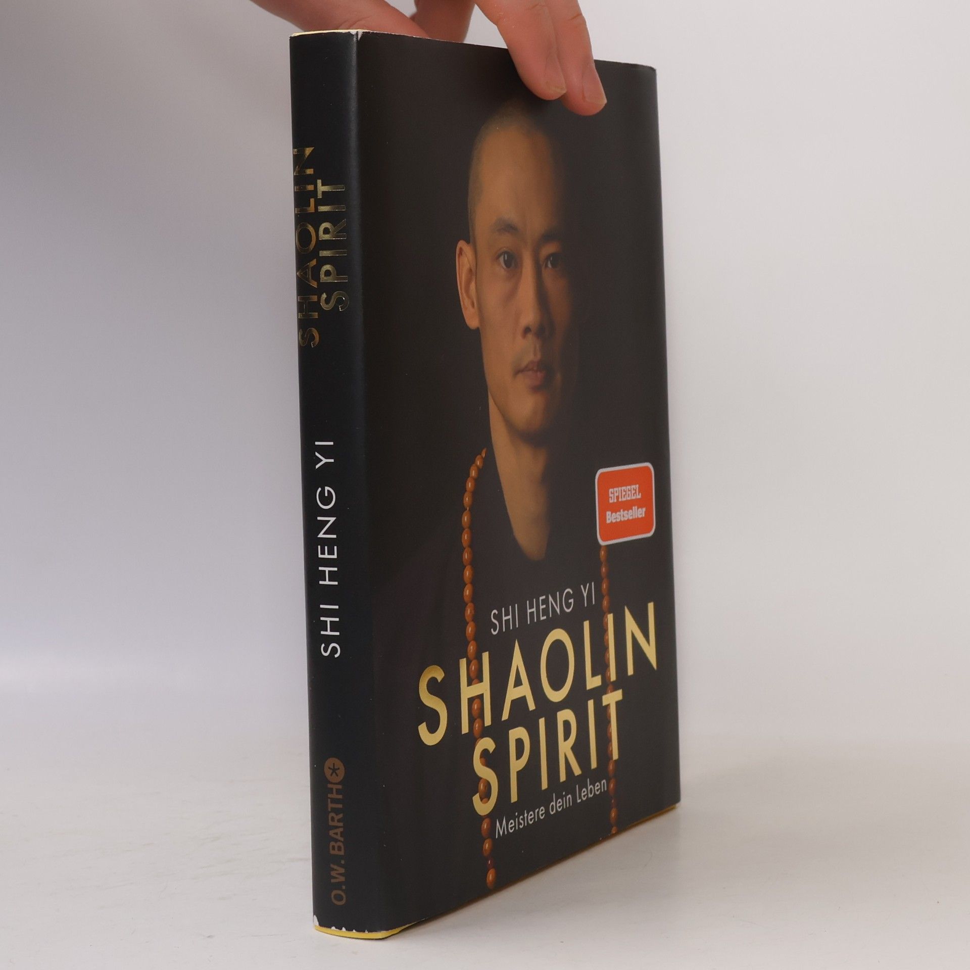 Shi Heng Shi Heng Yi Shaolin Spirit