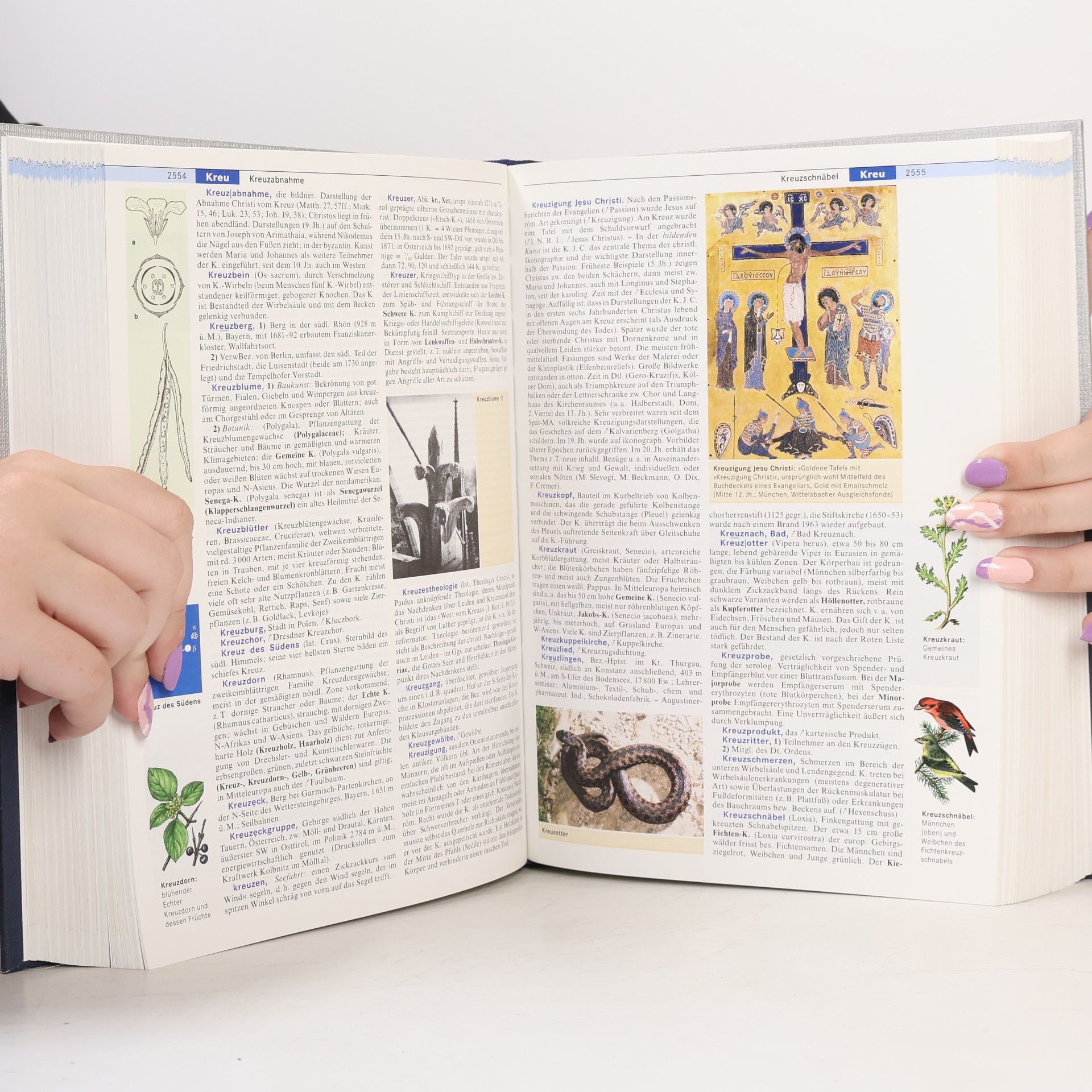 Autorenkollektiv Der Brockhaus in fünf Bänden 2. Eini-Io