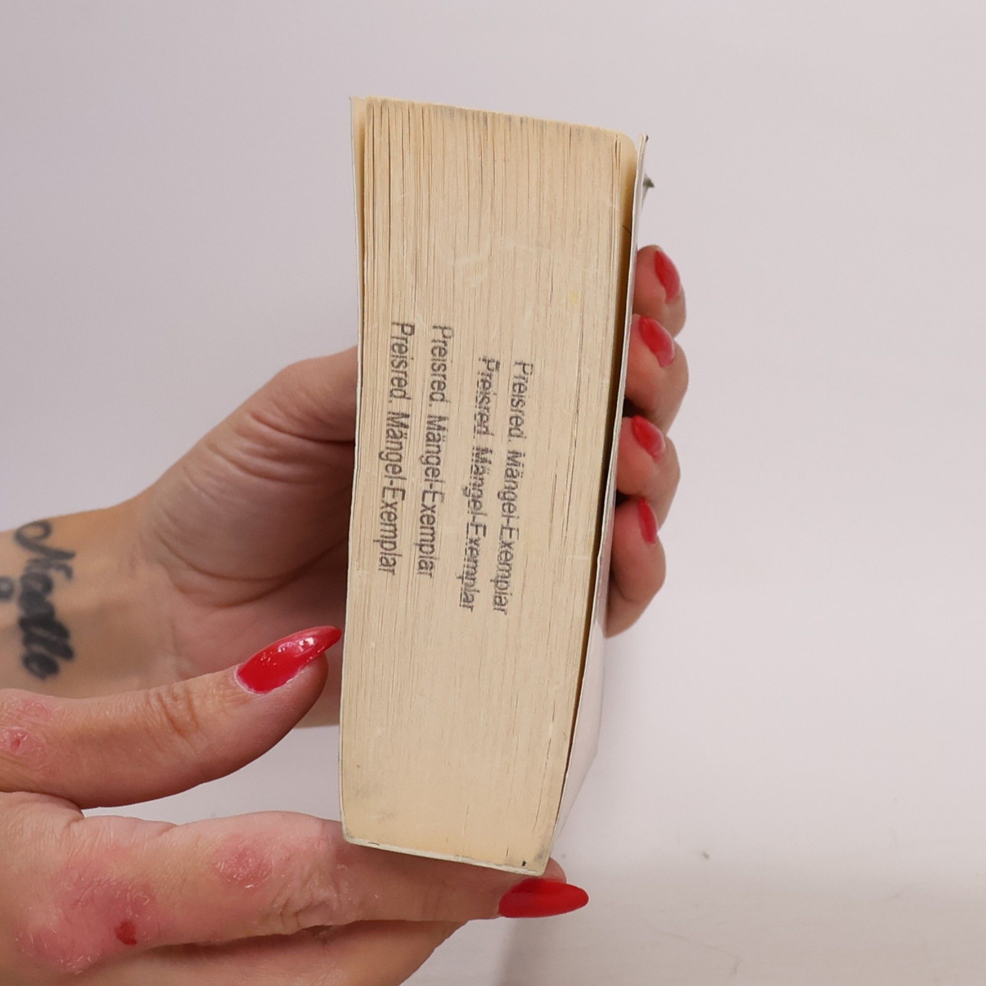 Julia Navarro Die Bibel-Verschwörung