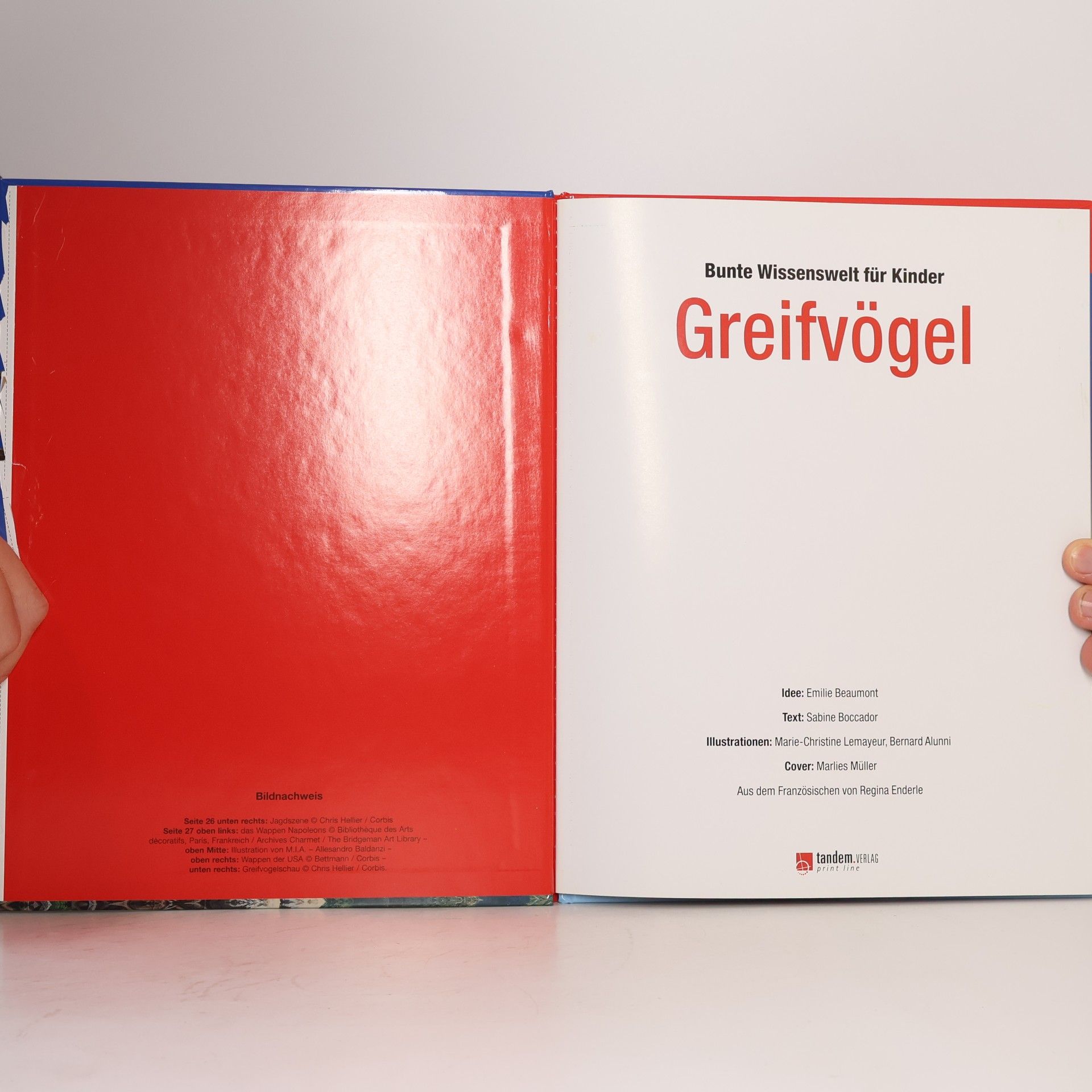Sabine Boccador Bunte Wissenswelt für Kinder. Greifvögel