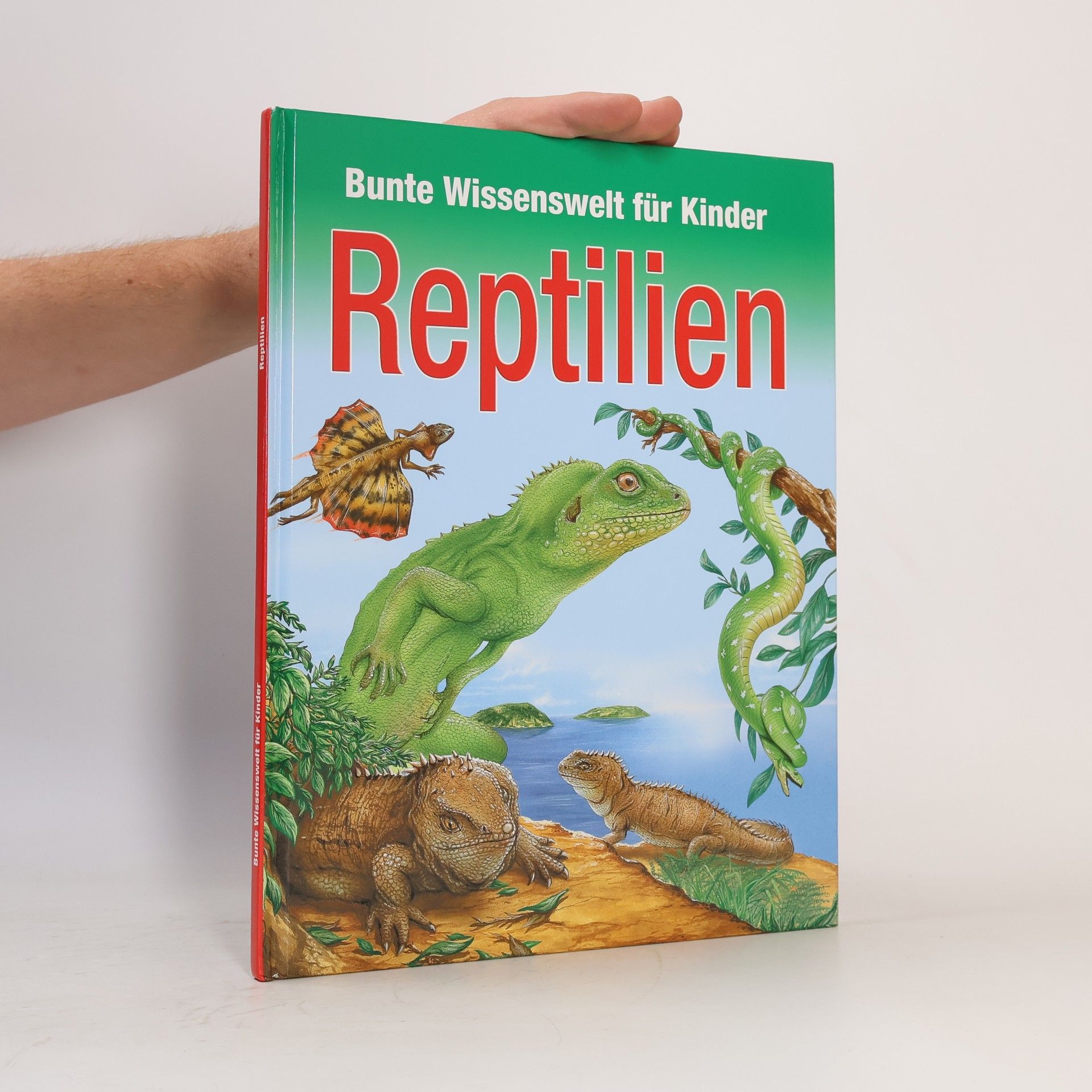 Autorenkollektiv Bunte Wissenswelt für Kinder. Reptilien