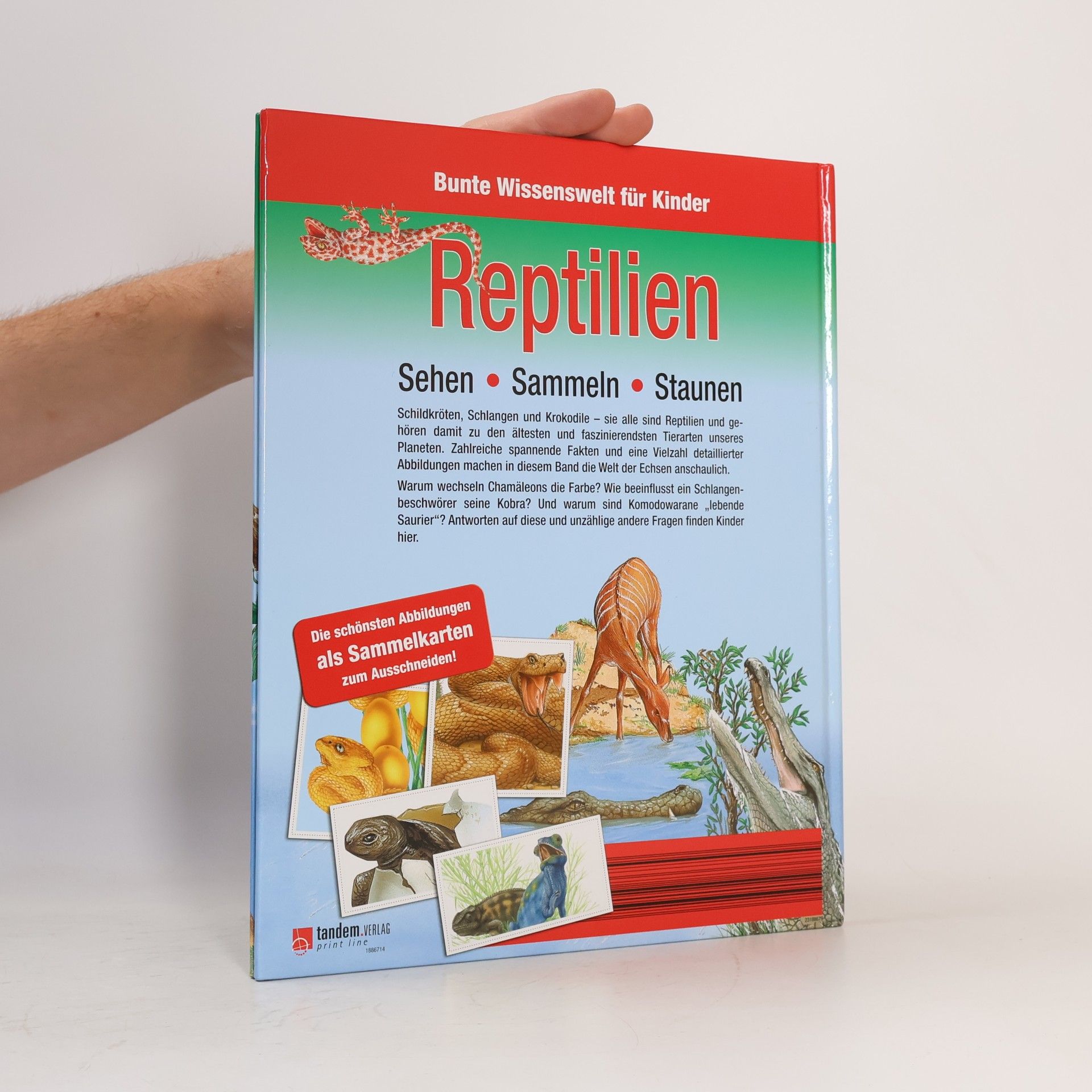Kolektiv autorů Bunte Wissenswelt für Kinder. Reptilien