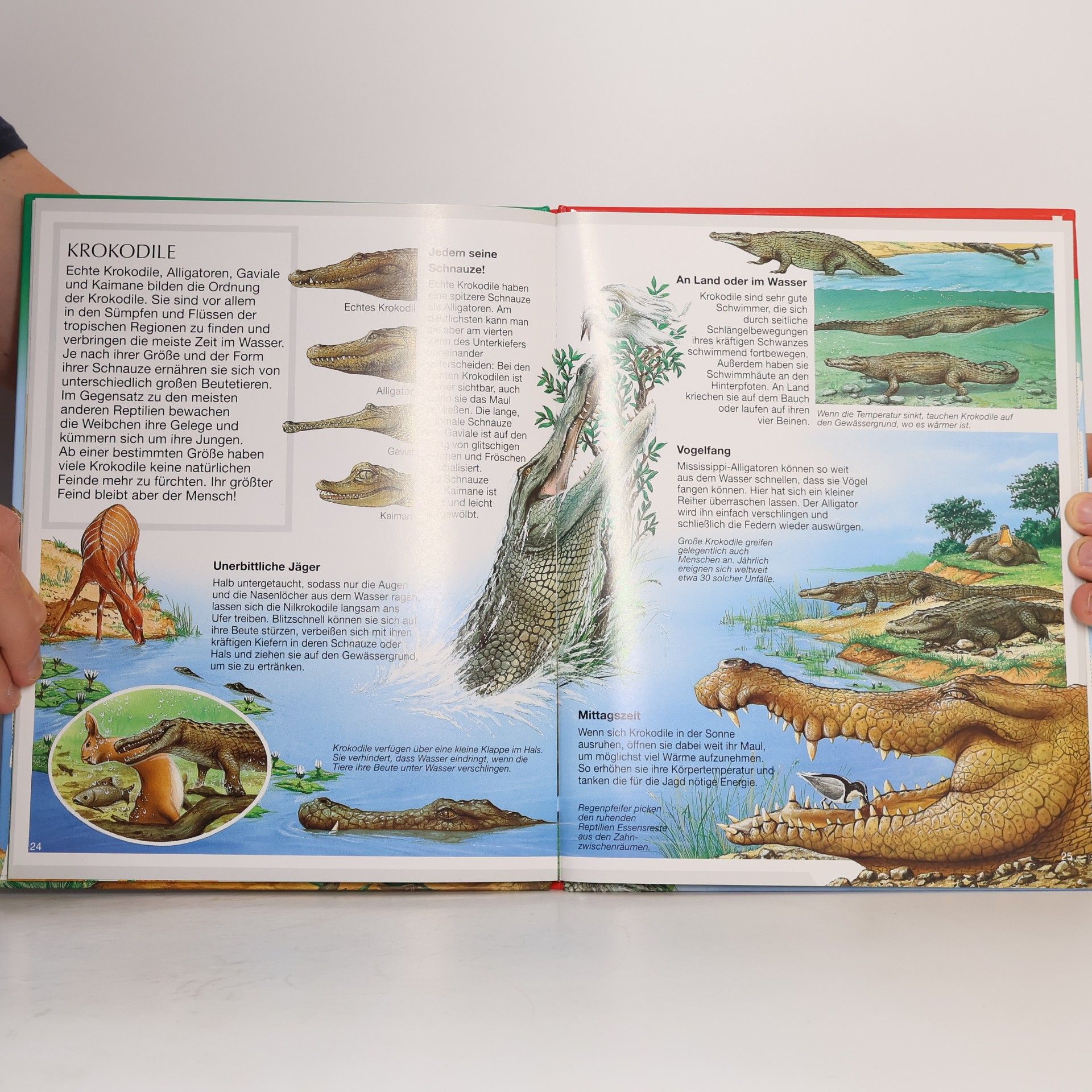 Kolektiv autorů Bunte Wissenswelt für Kinder. Reptilien