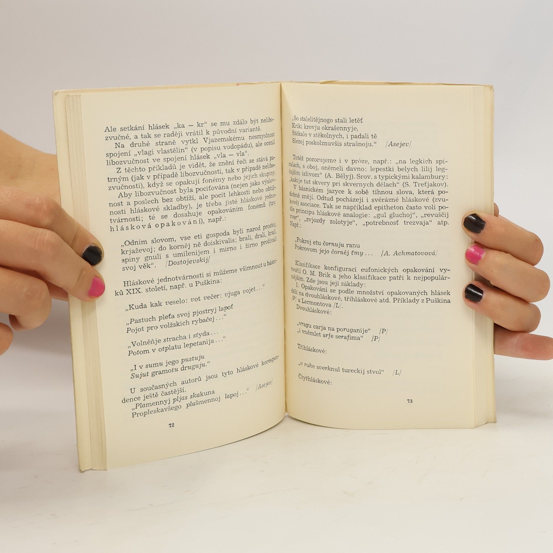 Boris Viktorovič Tomaševskij Teorie literatury