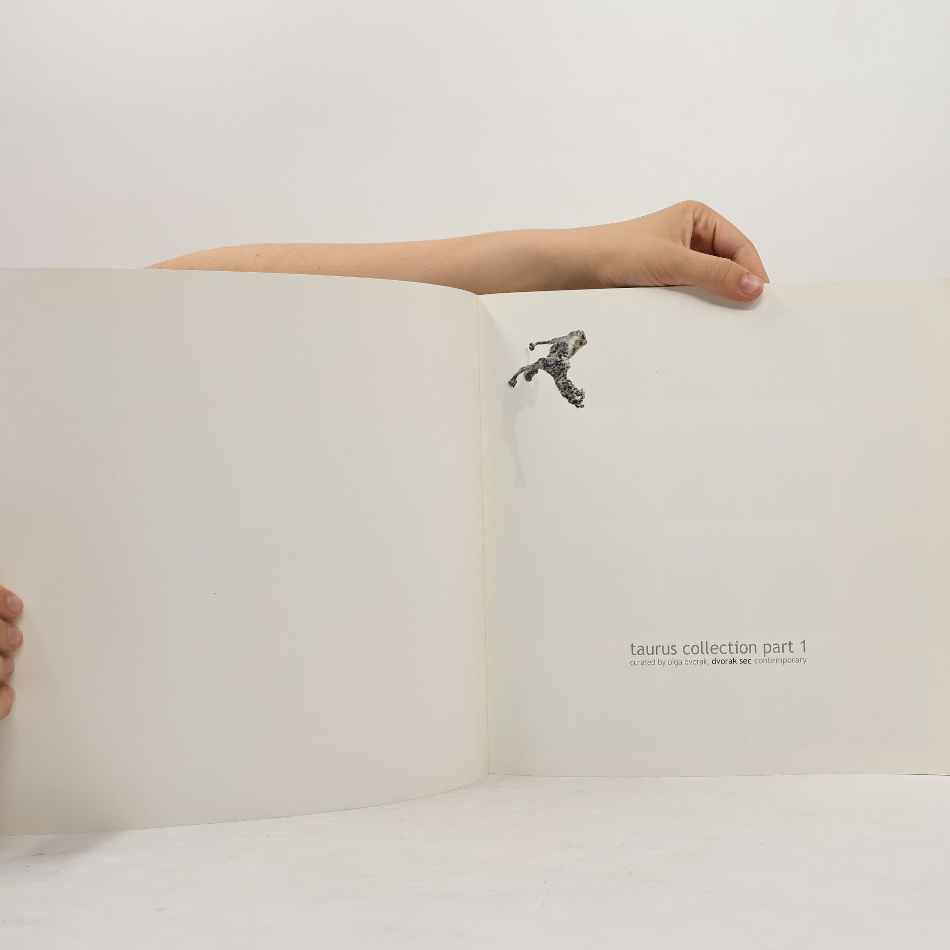 Various authors Taurus Collection