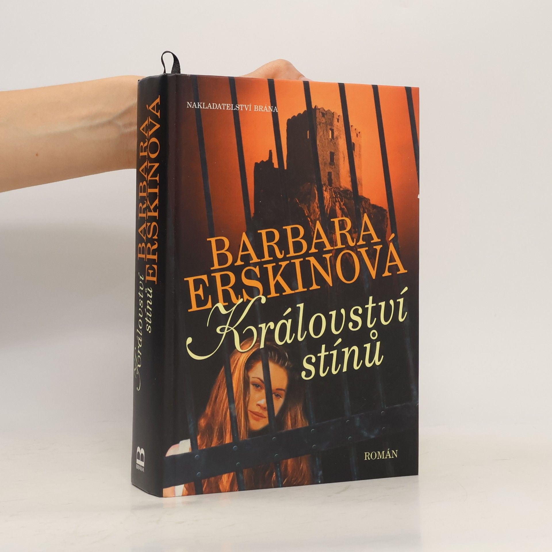 Barbara Erskine Království stínů : román
