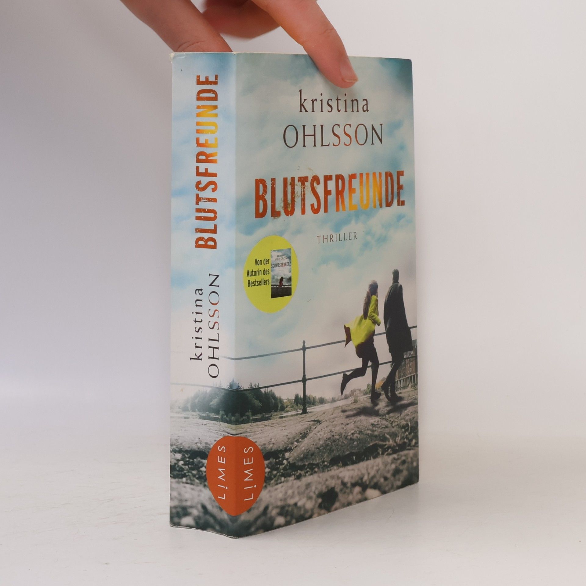 Kristina Ohlsson Blutsfreunde