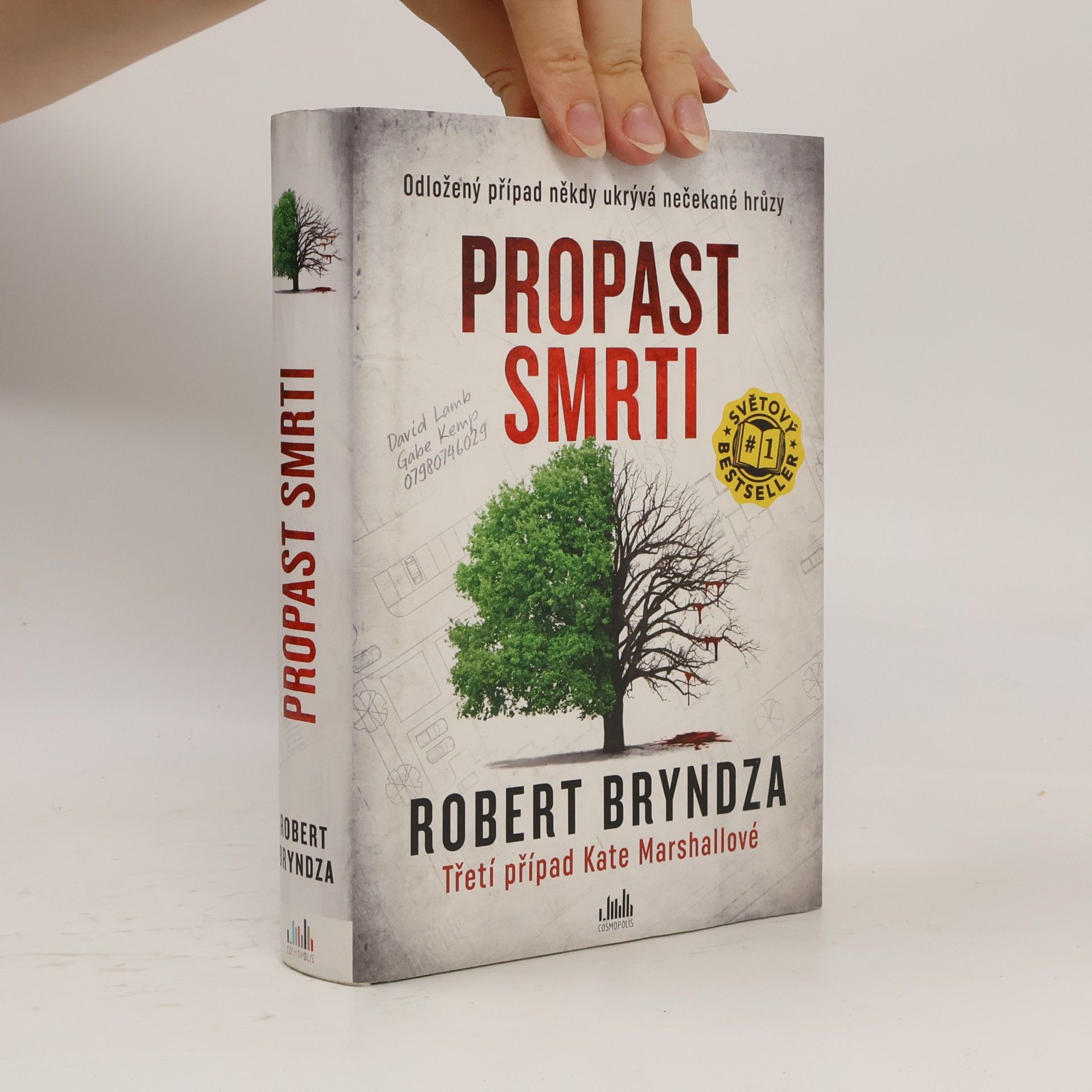 Robert Bryndza Propast smrti