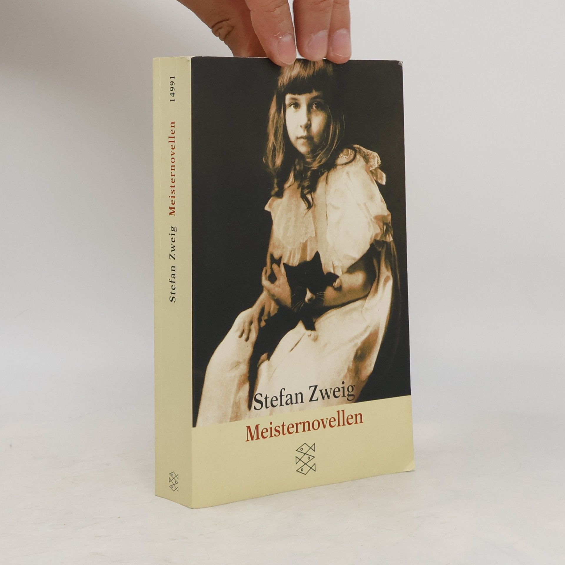 Stefan Zweig Meisternovellen