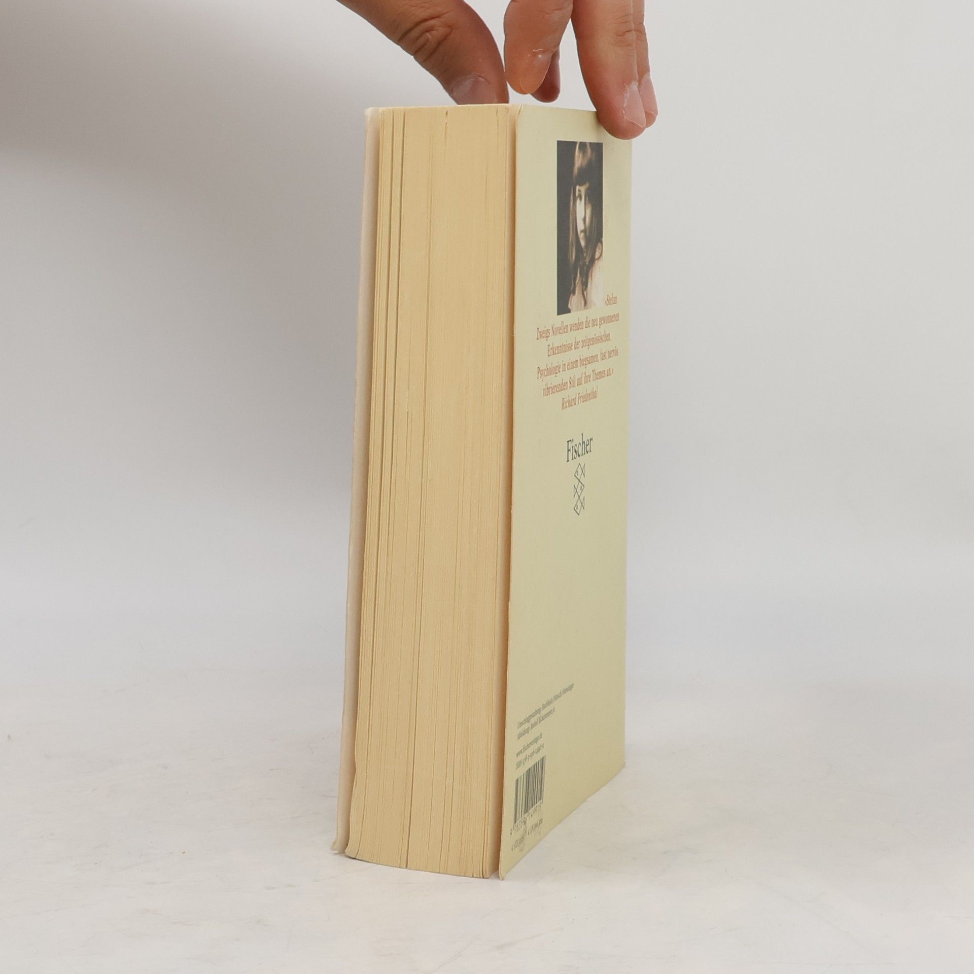 Stefan Zweig Meisternovellen