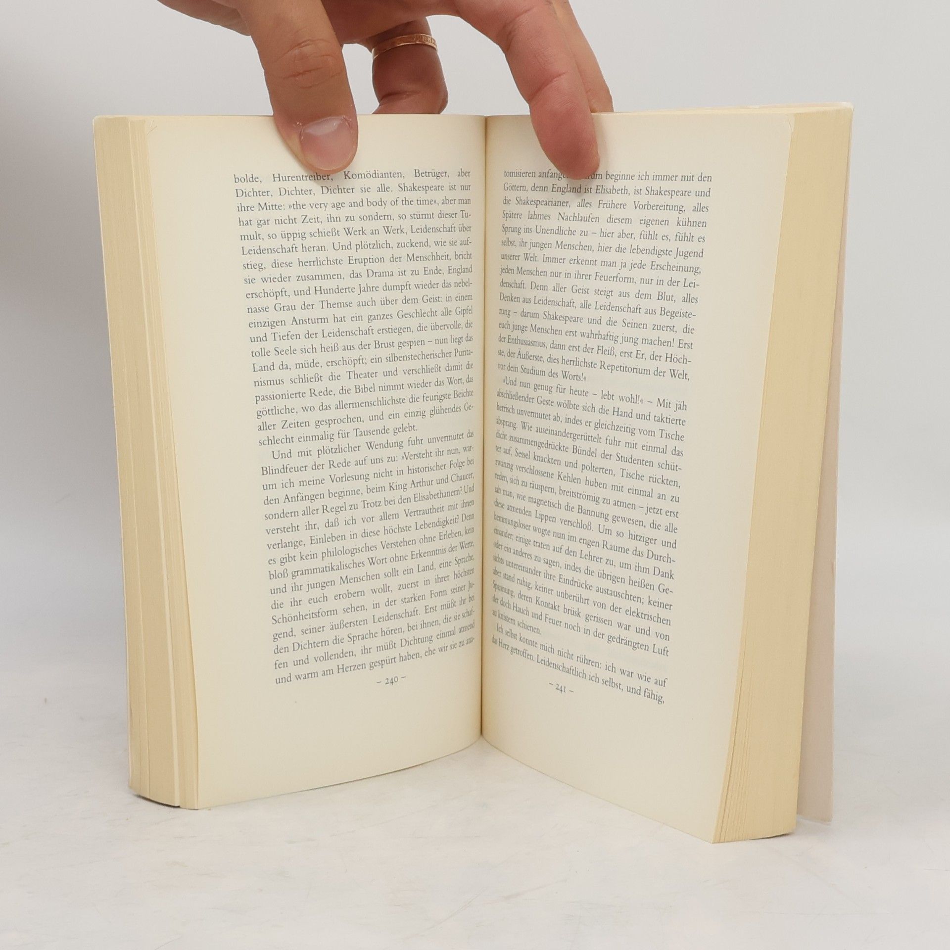 Stefan Zweig Meisternovellen