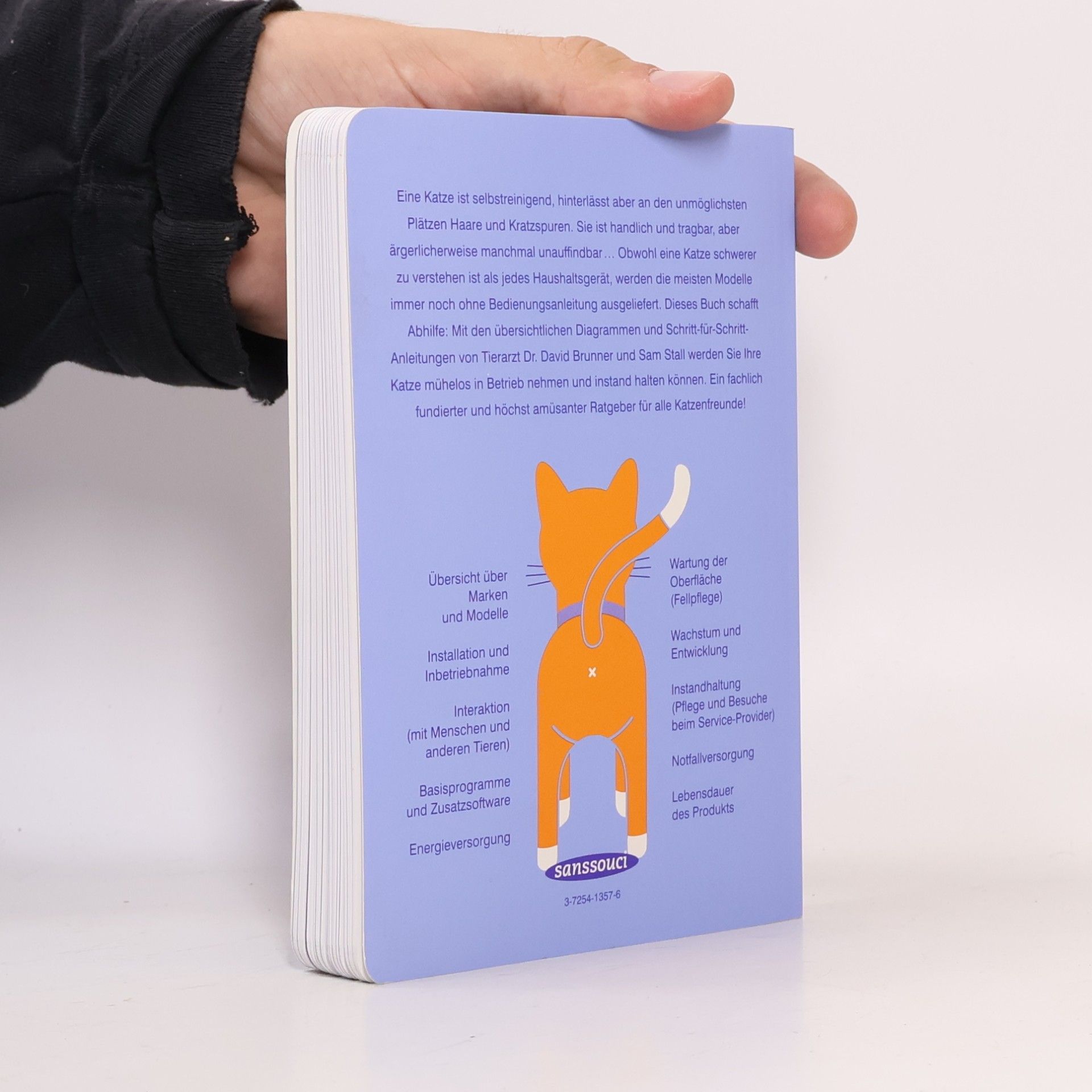 David Brunner Die Katze
