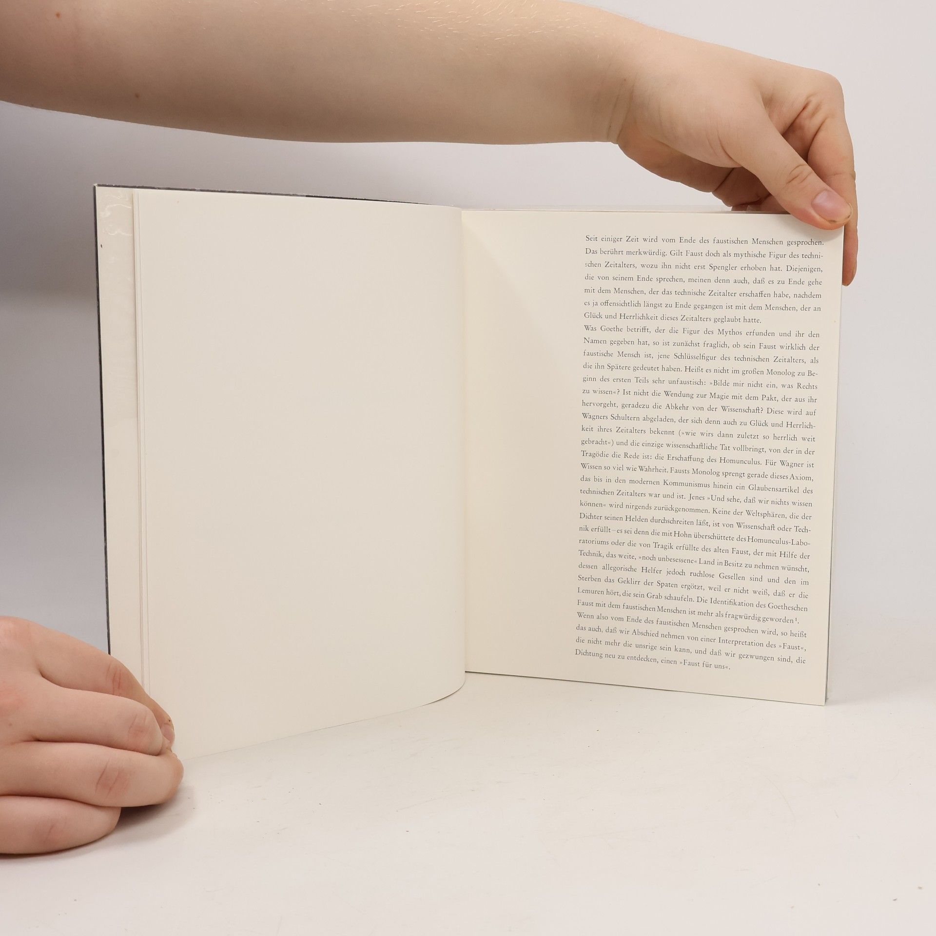 Autorenkollektiv Gründgens Faust