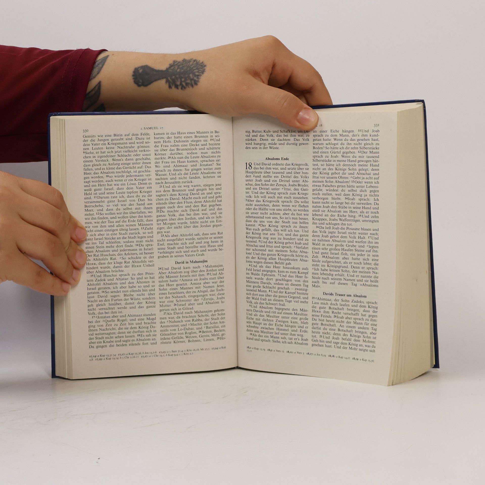 Martin Luther Die Bibel