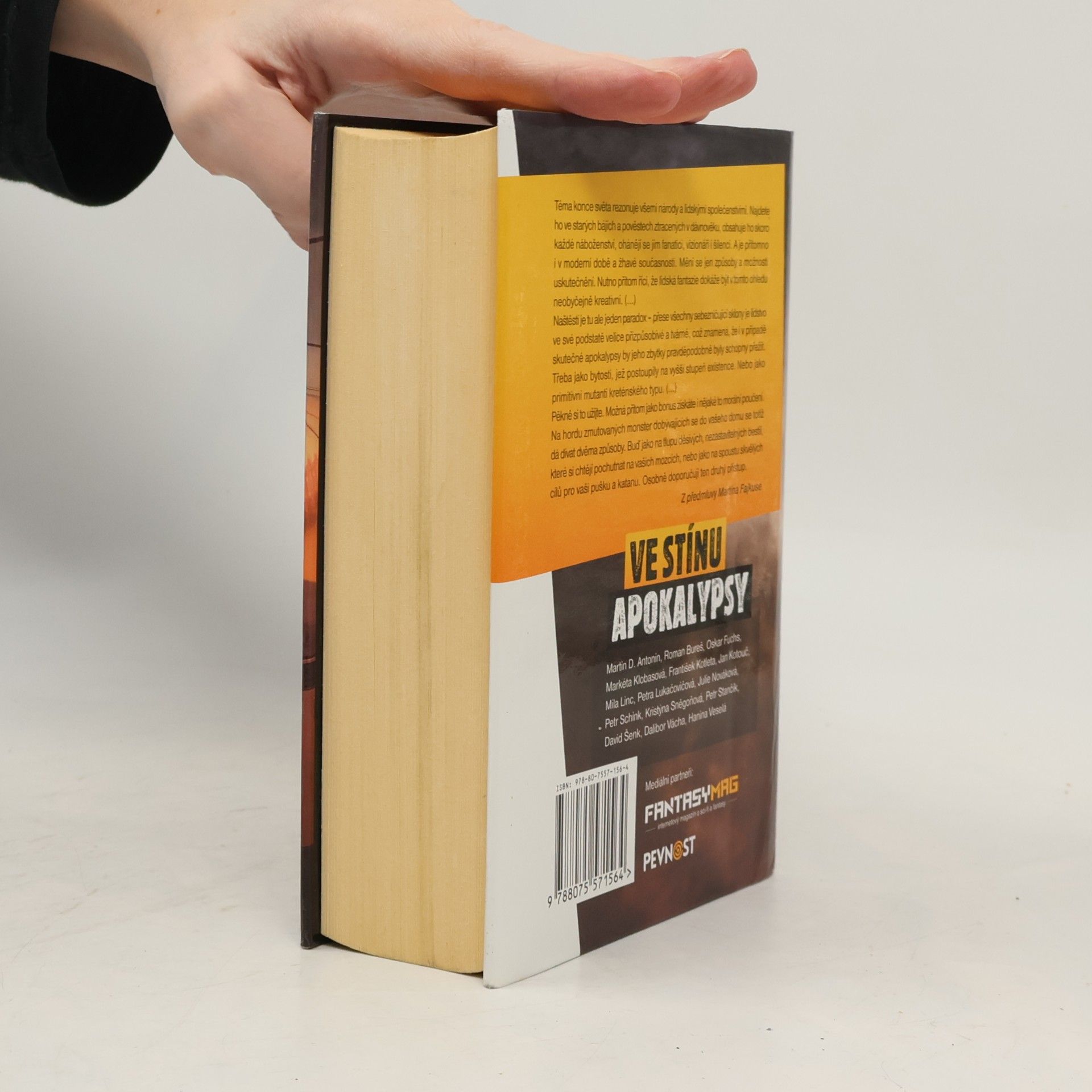 Autorenkollektiv Ve stínu apokalypsy: Antologie české fantastiky