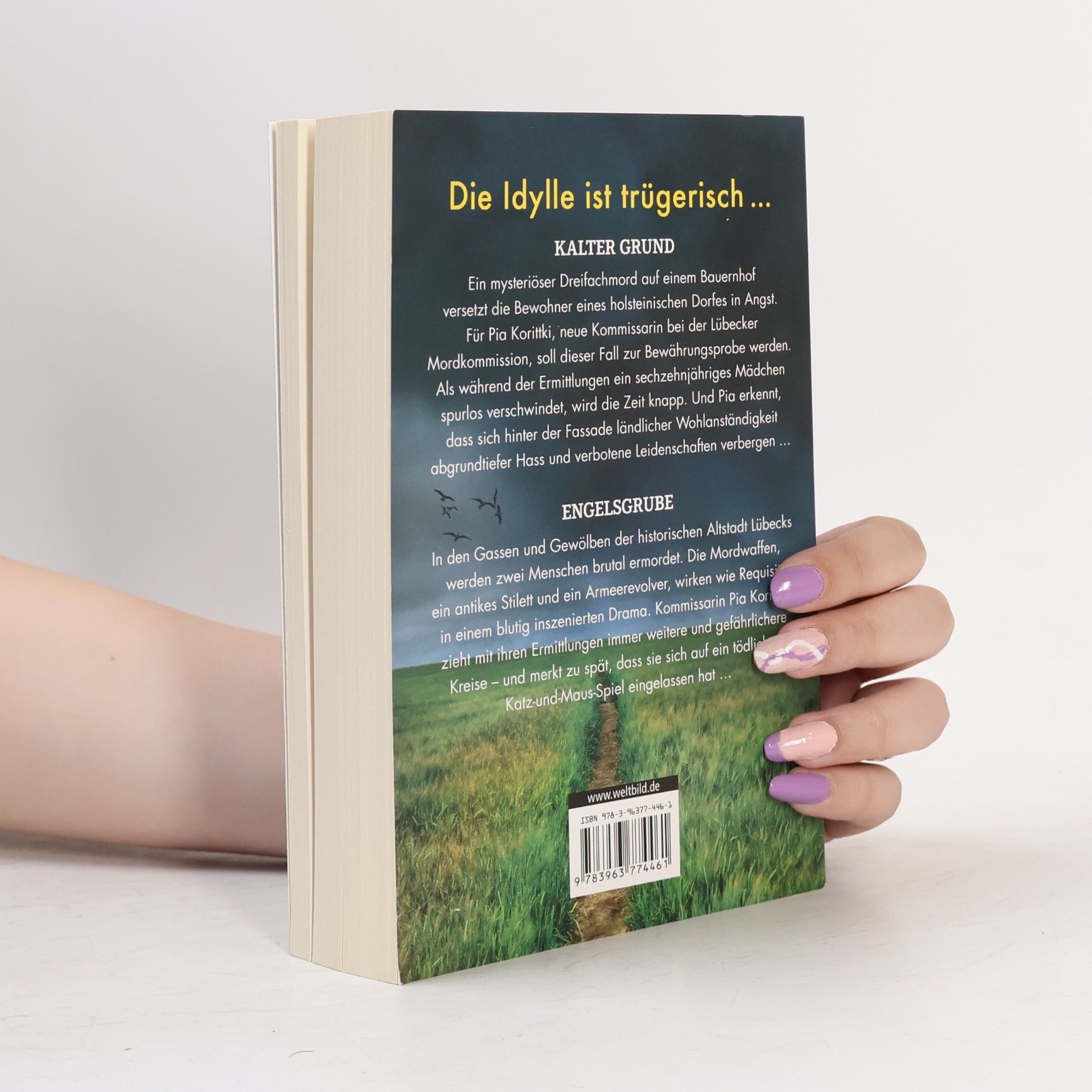 Eva Almstädt Kalter Grund, Engelsgrube