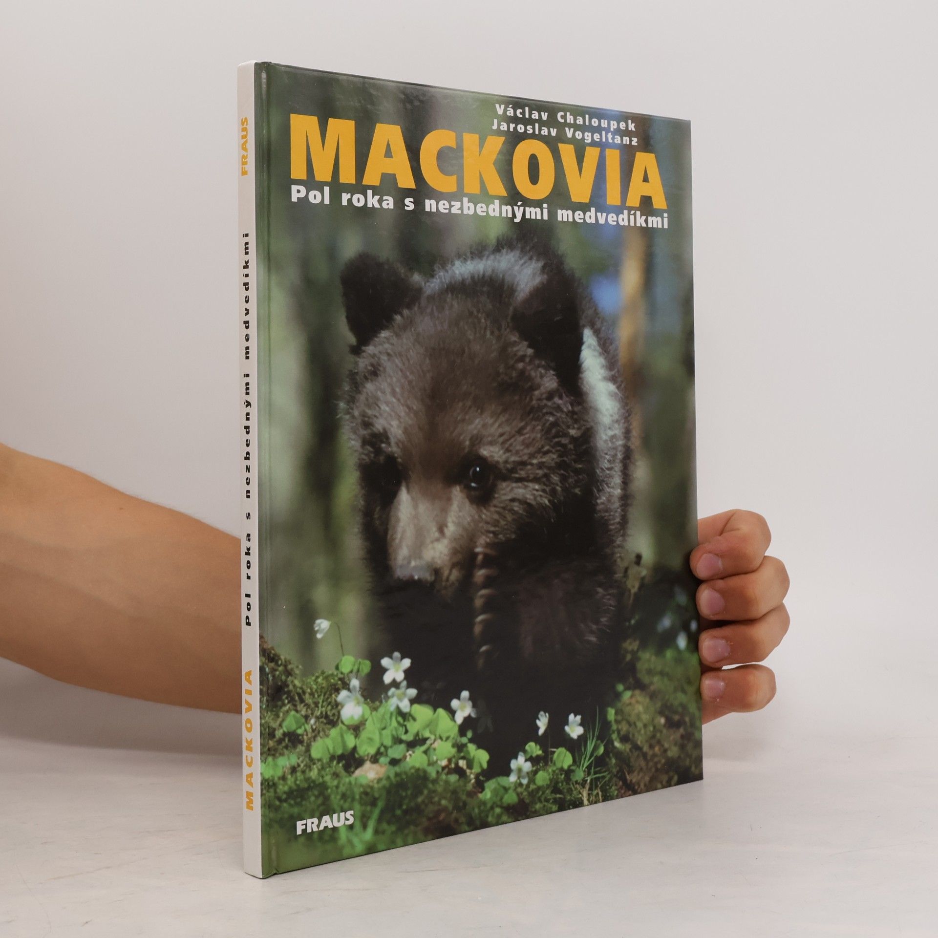 Václav Chaloupek Mackovia: pol roka s nezbednými medvedíkmi