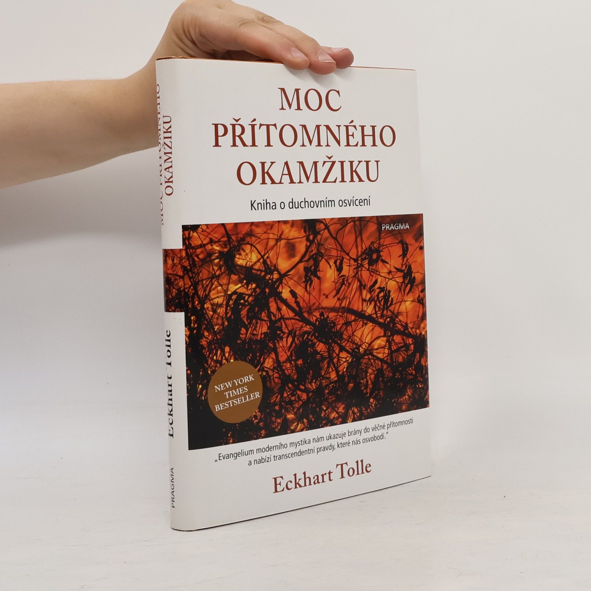 Eckhart Tolle Moc přítomného okamžiku