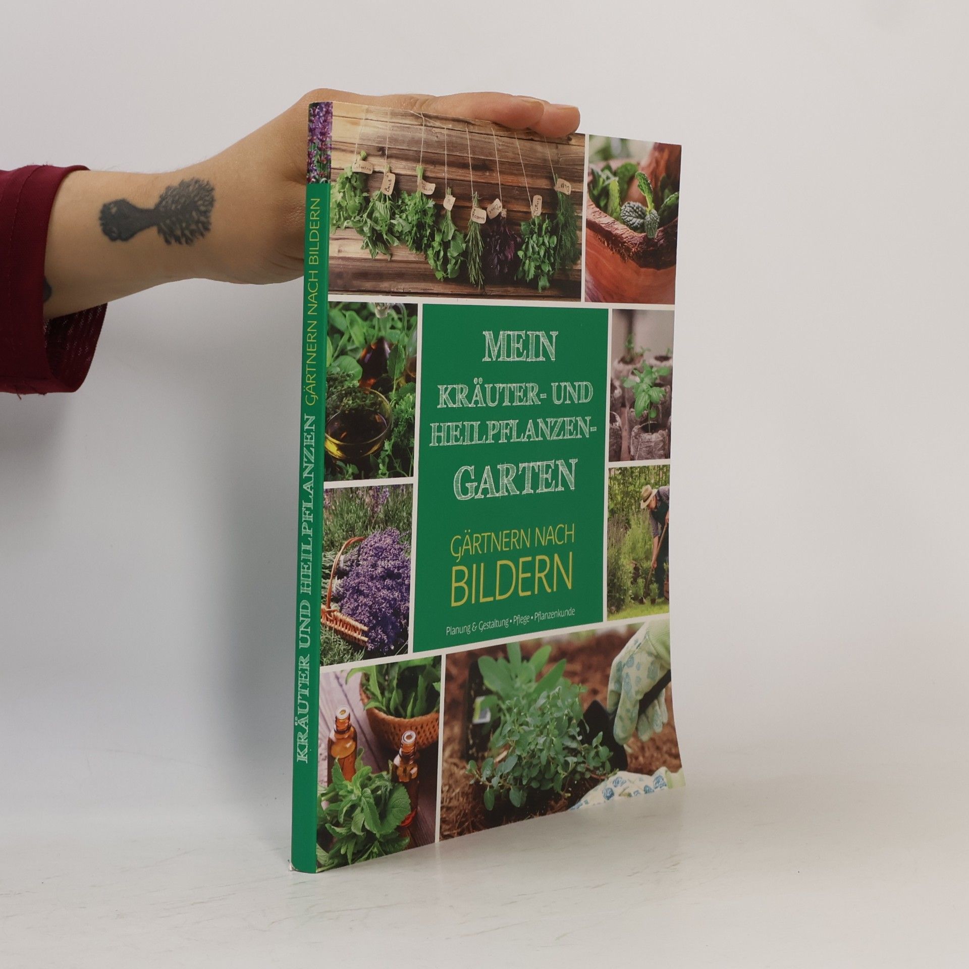 Autorenkollektiv Mewin Kräuter- und Heilpflanzen- Garten. Gärtnern nach Bildern