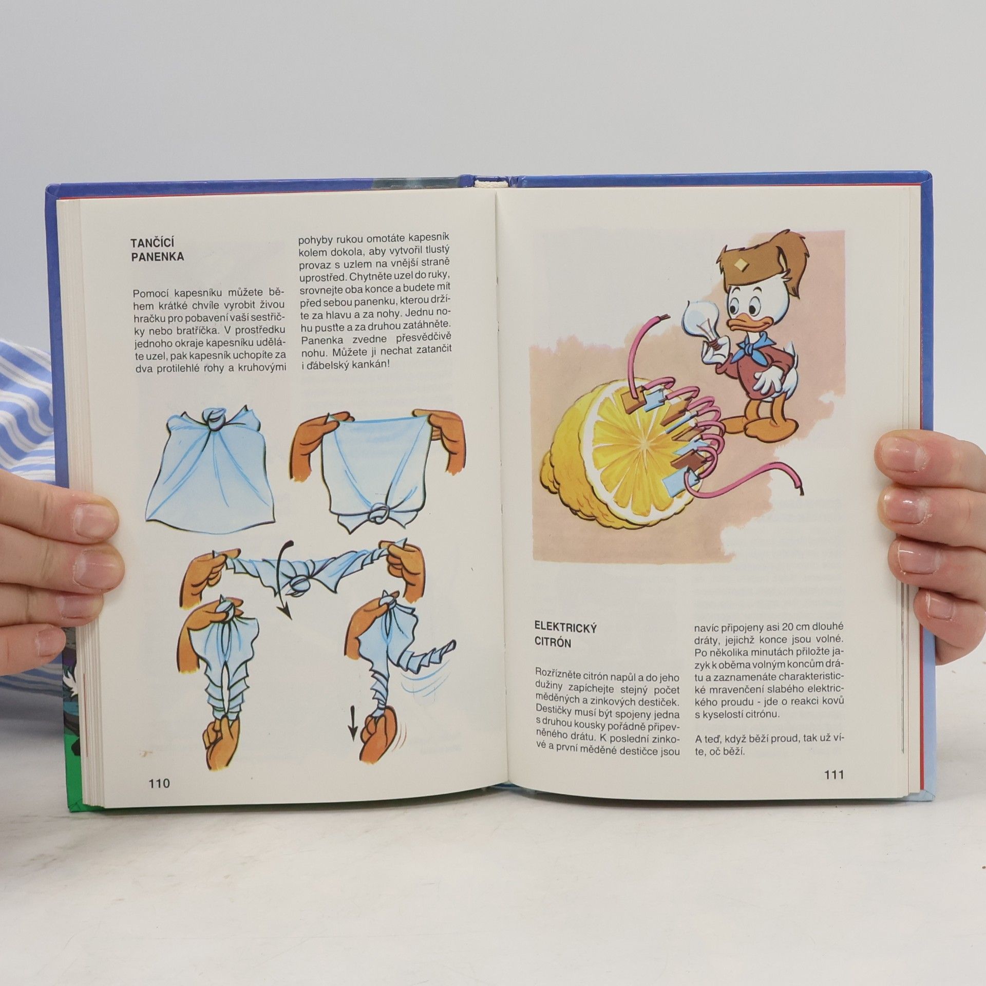 Walt Disney 2. příručka mladých svišťů