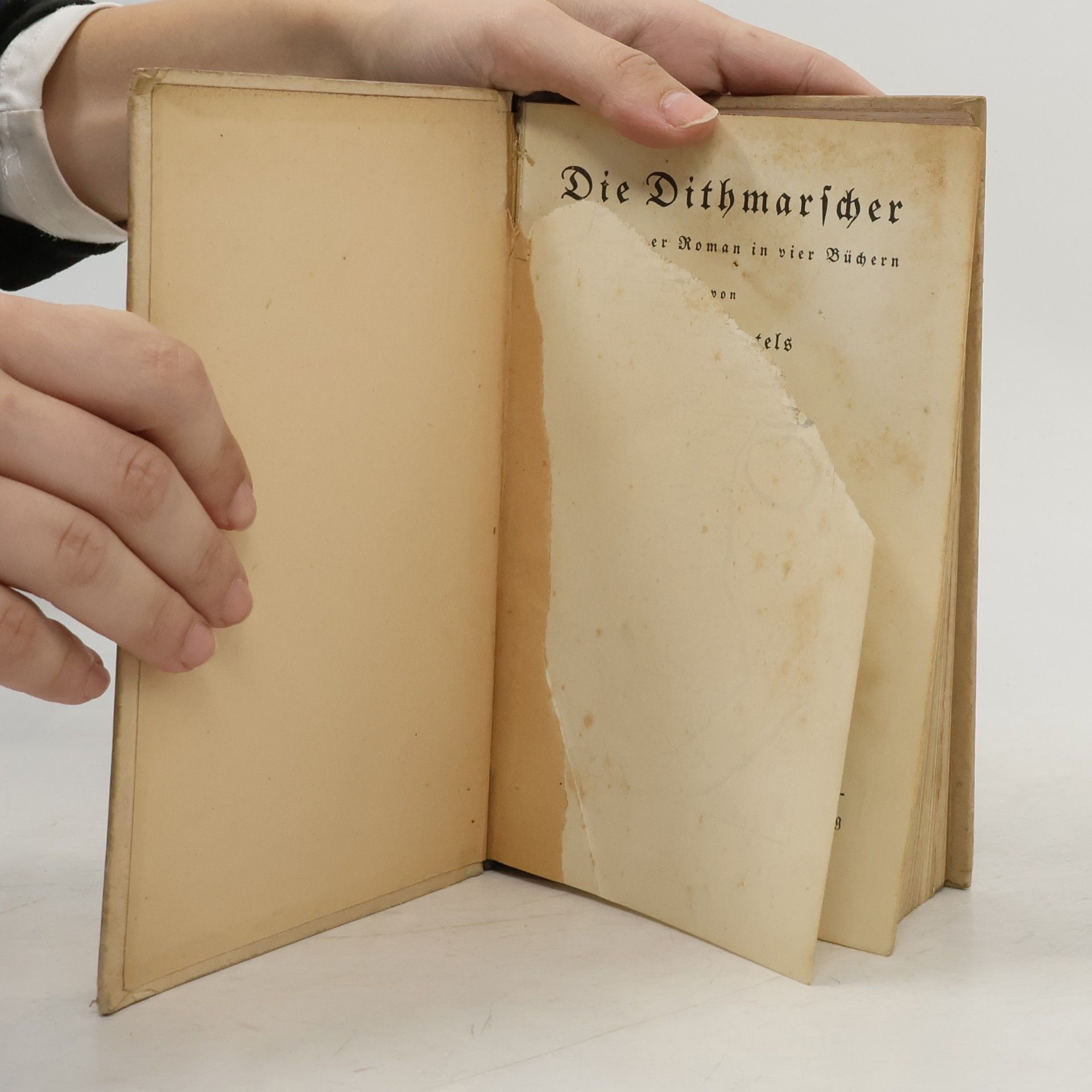 Adolf Bartels Die Dithmarscher