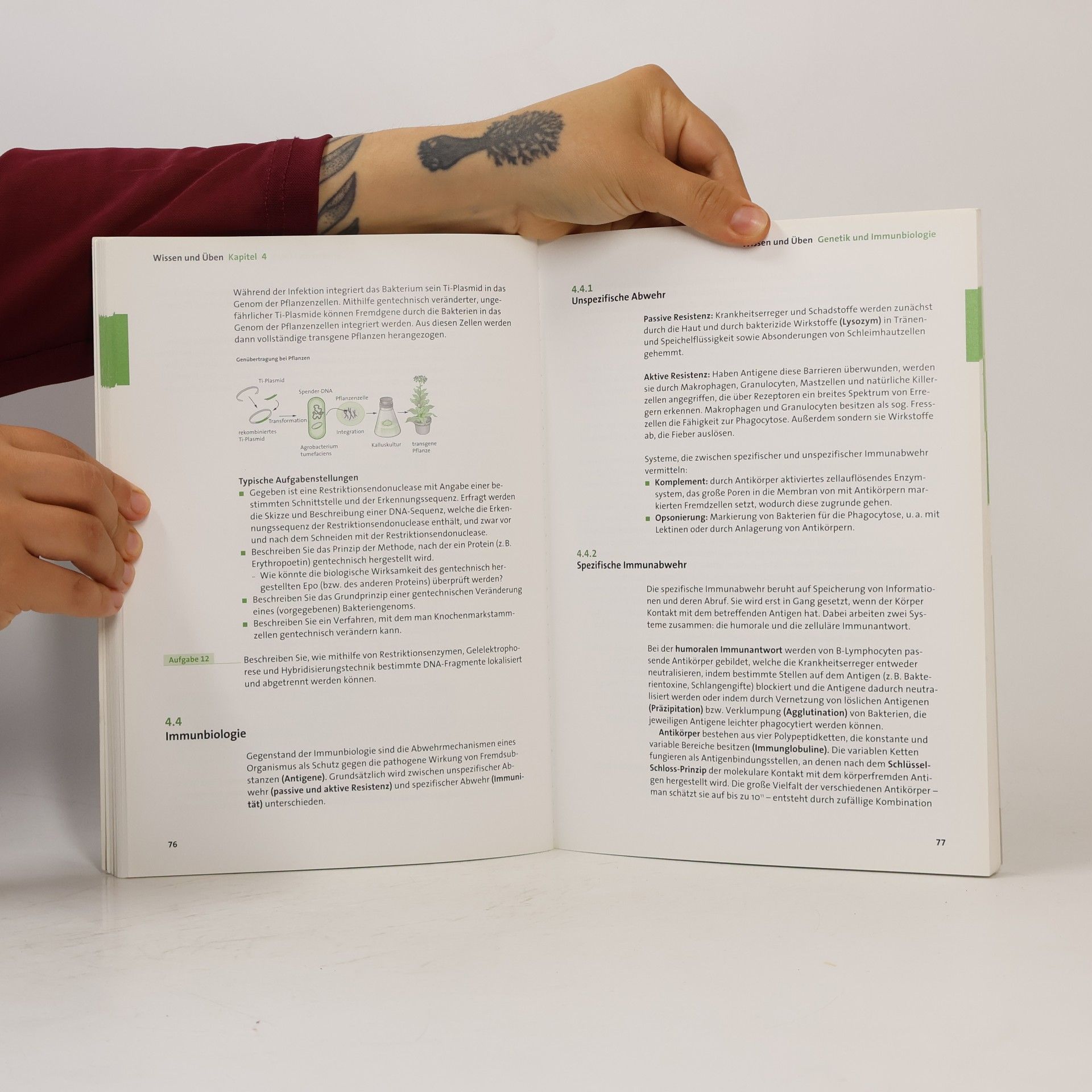 Wilfried Probst Duden Prüfungstraining: Prüfungstraining Biologie Abitur