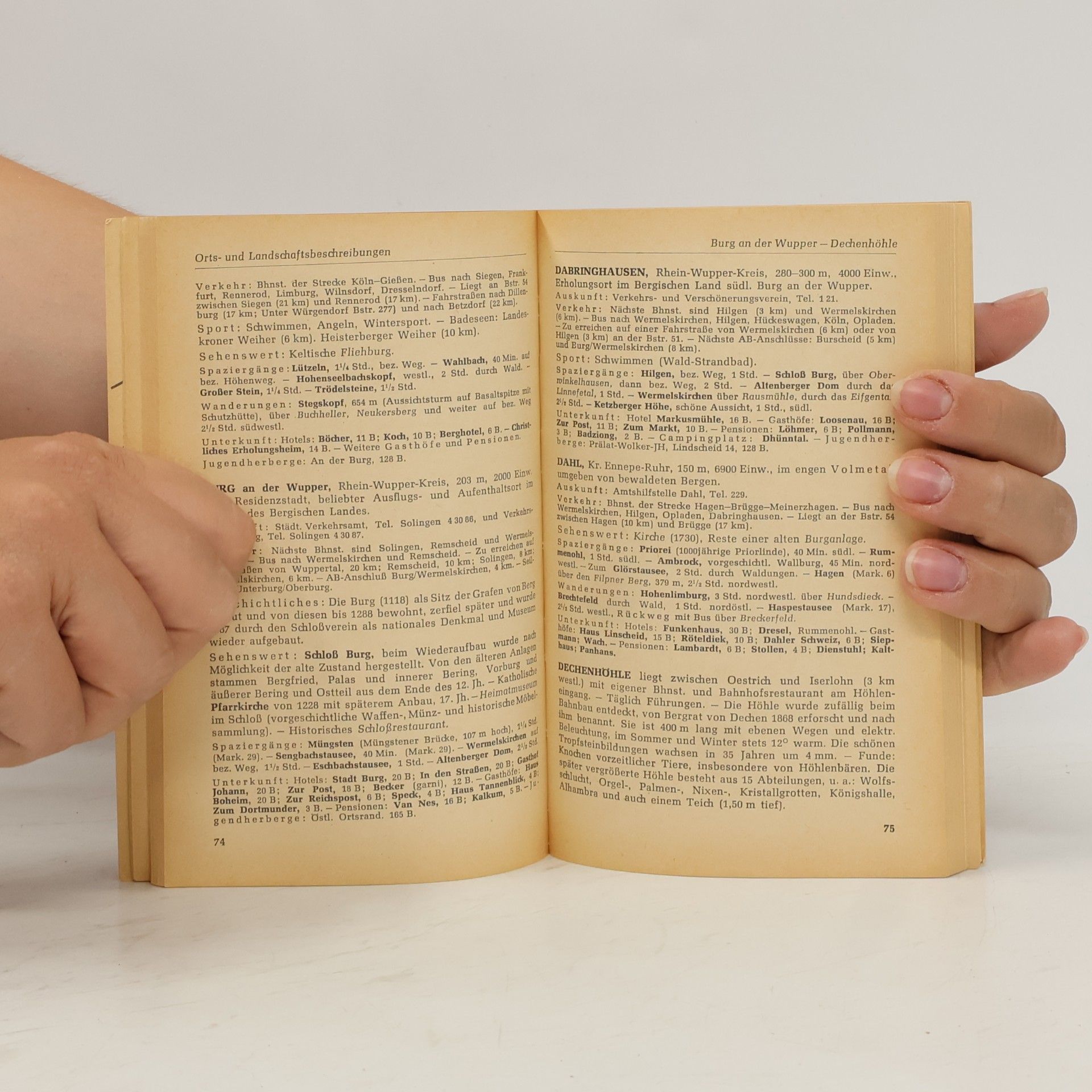 Various authors Sauerland. Band 176