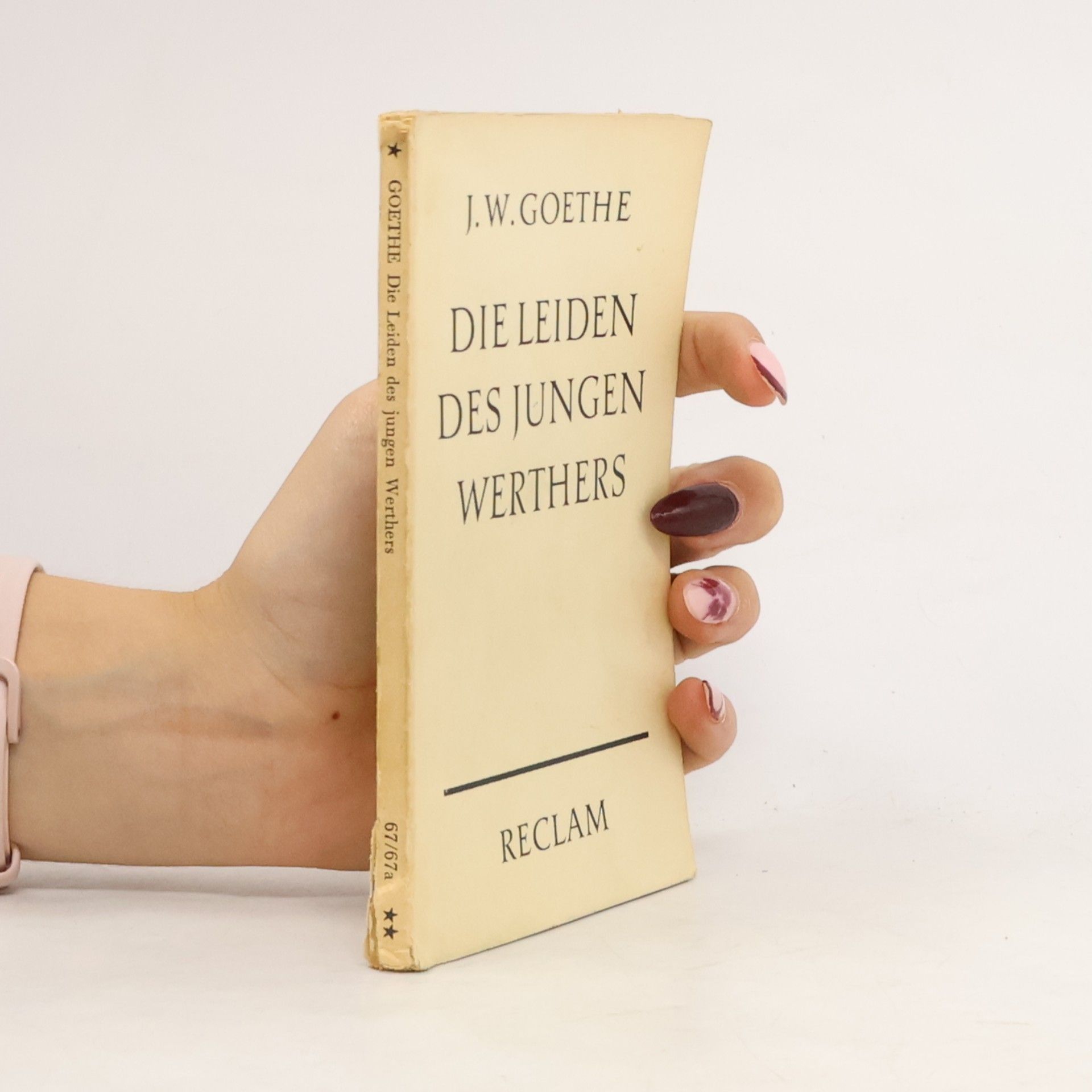 Johann Wolfgang von Goethe Die Leiden des Jungen Werthers