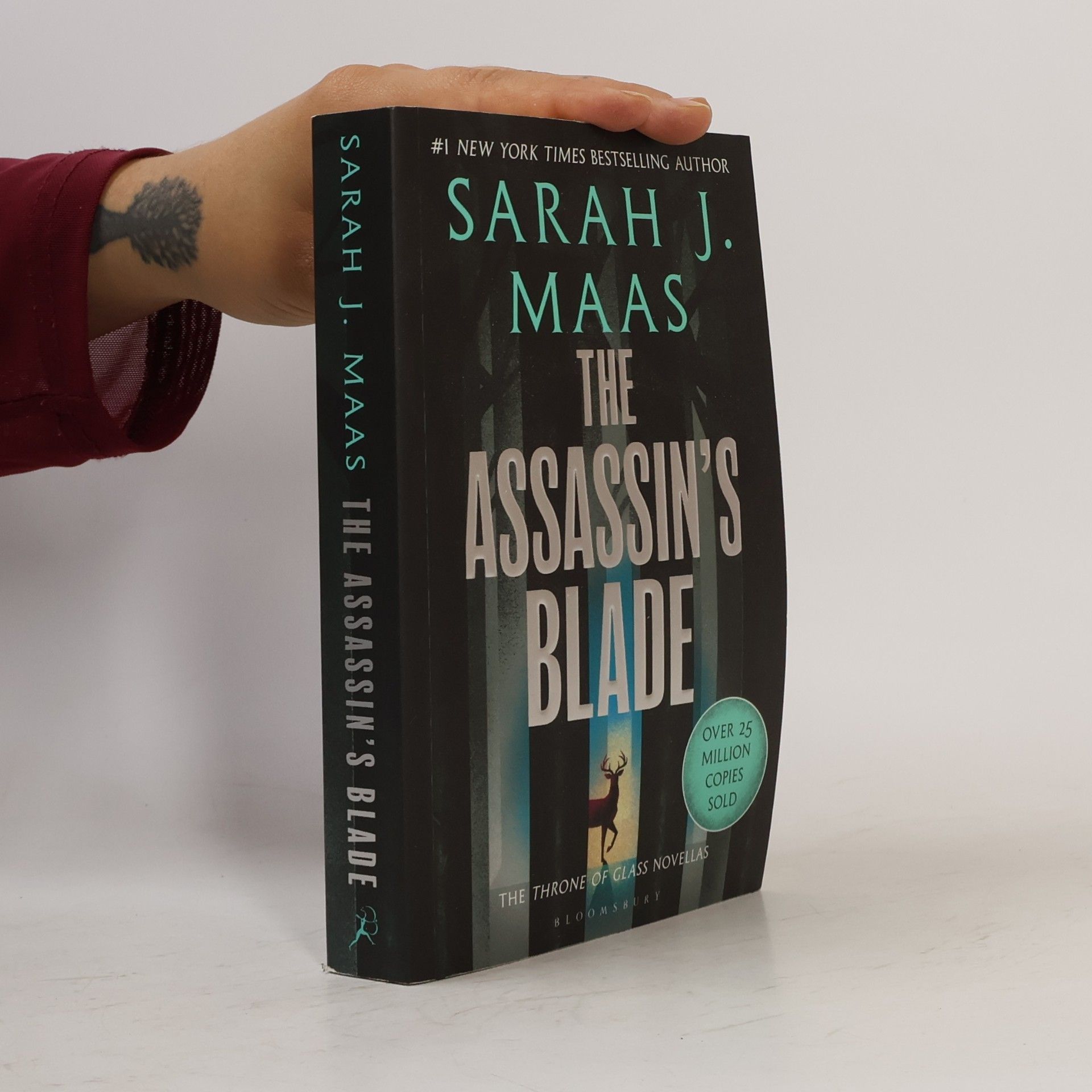 The Assassin's Blade