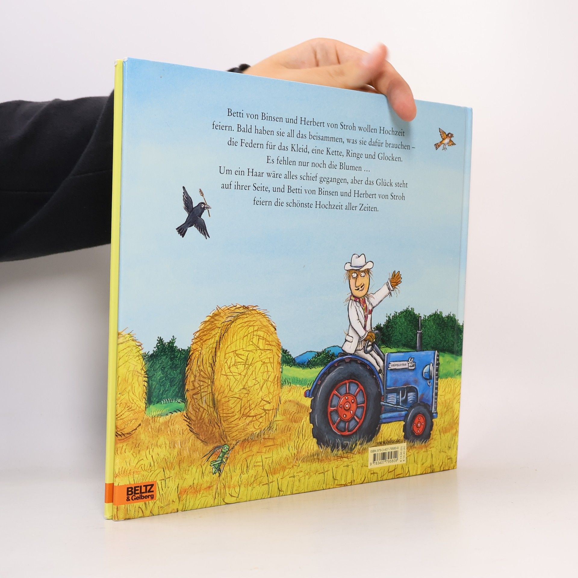Axel Scheffler Die Vogelscheuchenhochzeit