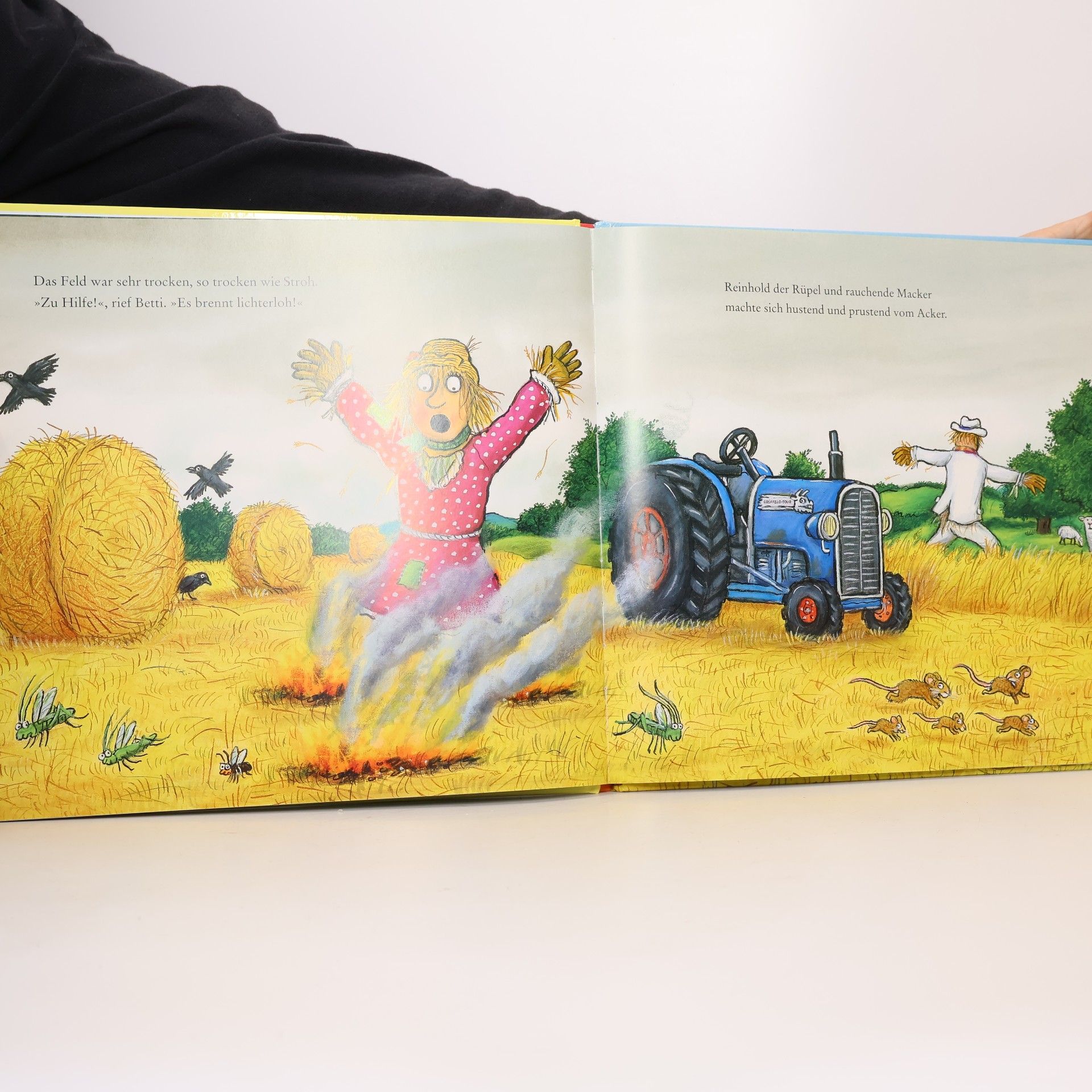 Axel Scheffler Die Vogelscheuchenhochzeit