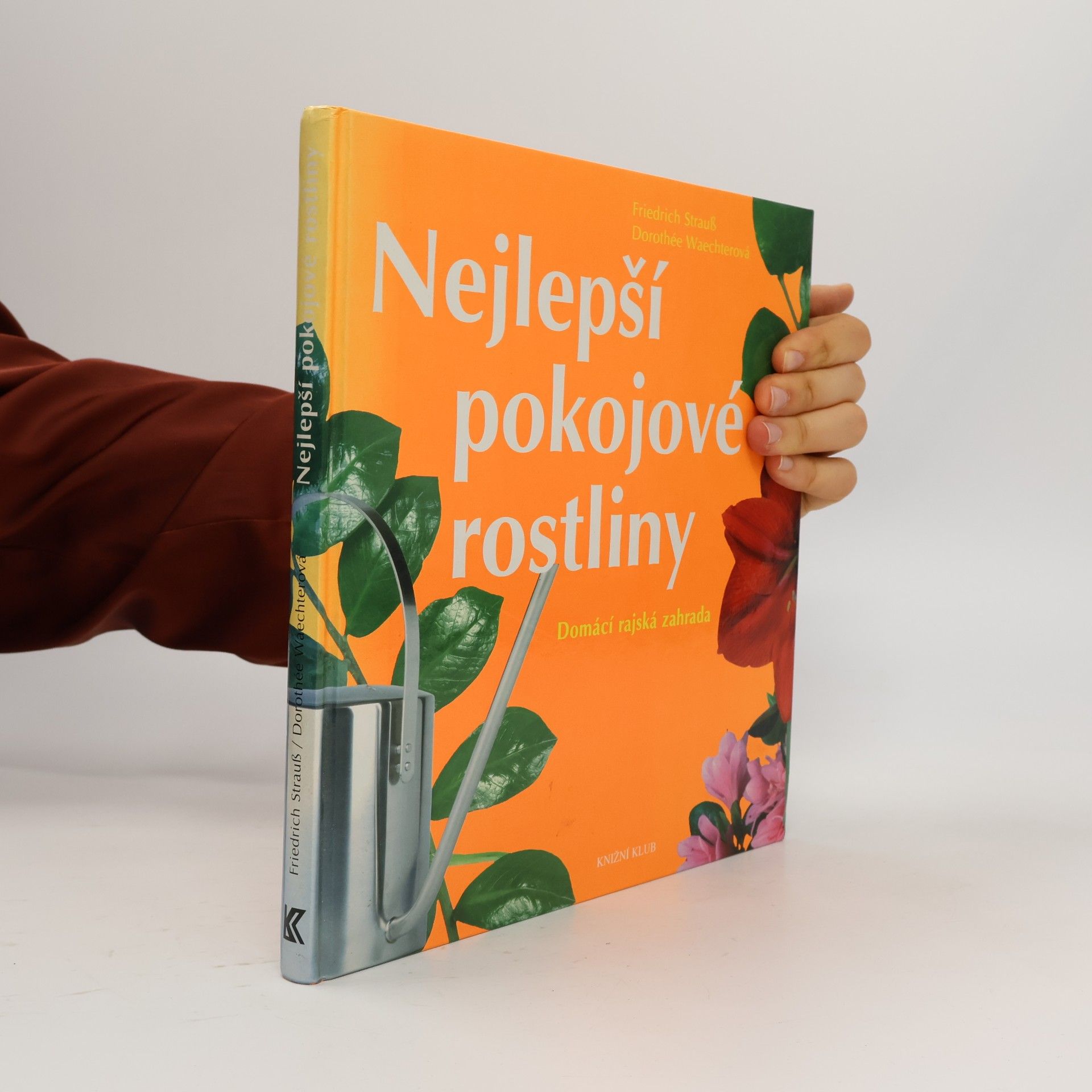 Nejlepší pokojové rostliny: Domácí rajská zahrada