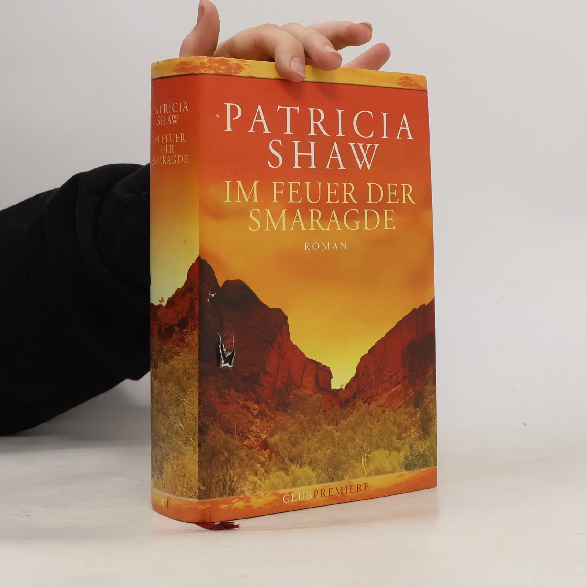 Patricia Shaw Im Feuer der Smaragde