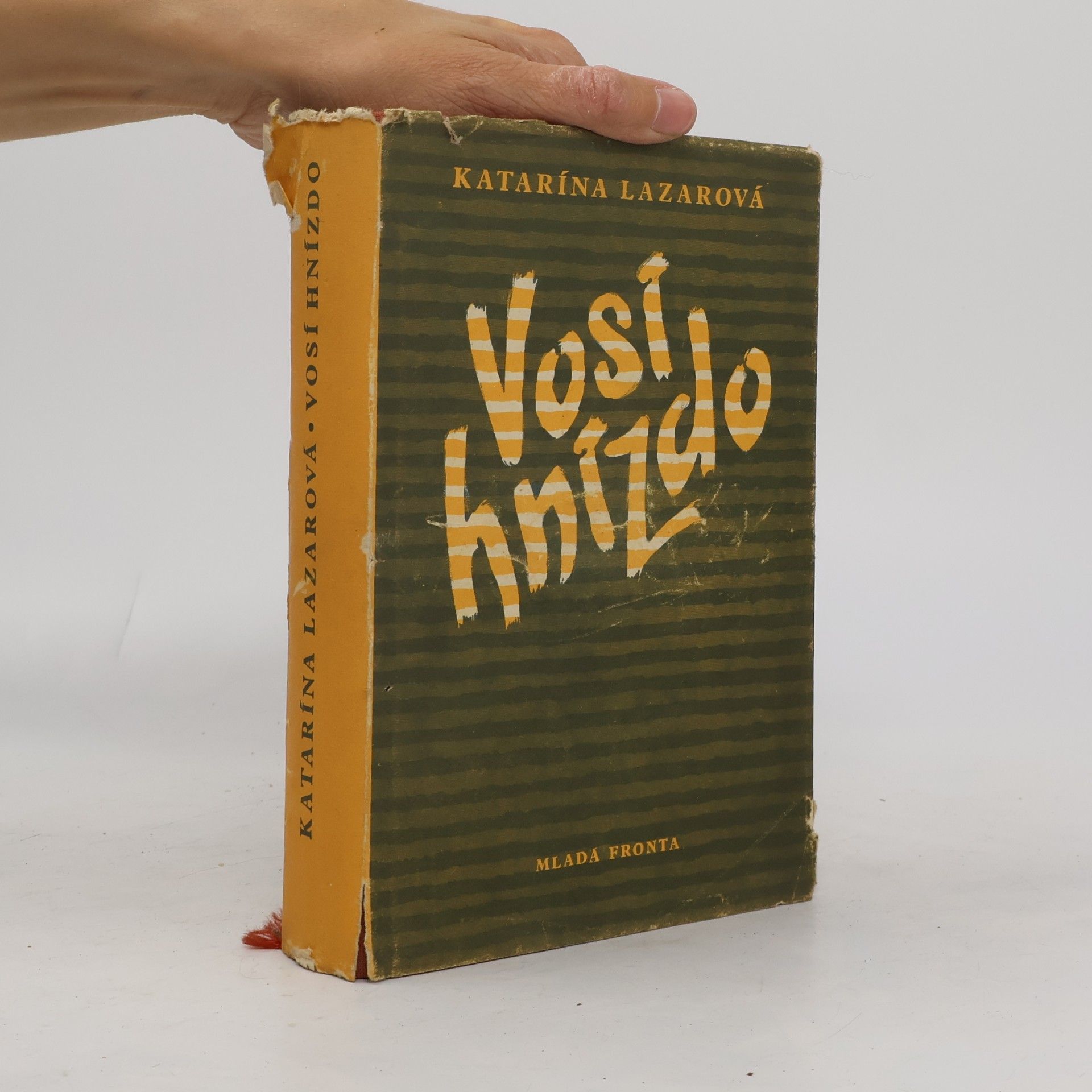 Vosí hnízdo
