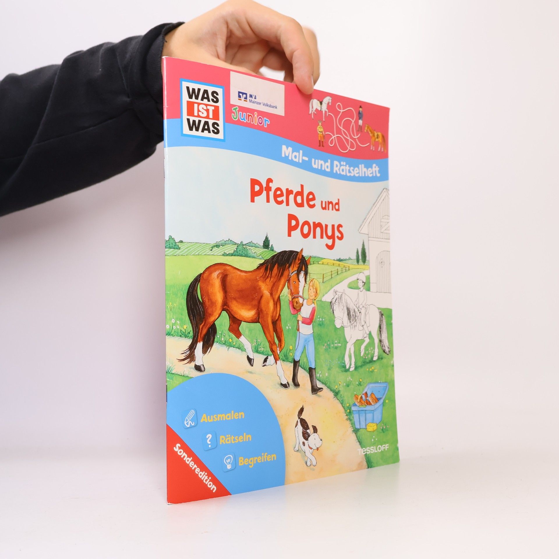 Autorenkollektiv Pferde und Ponys