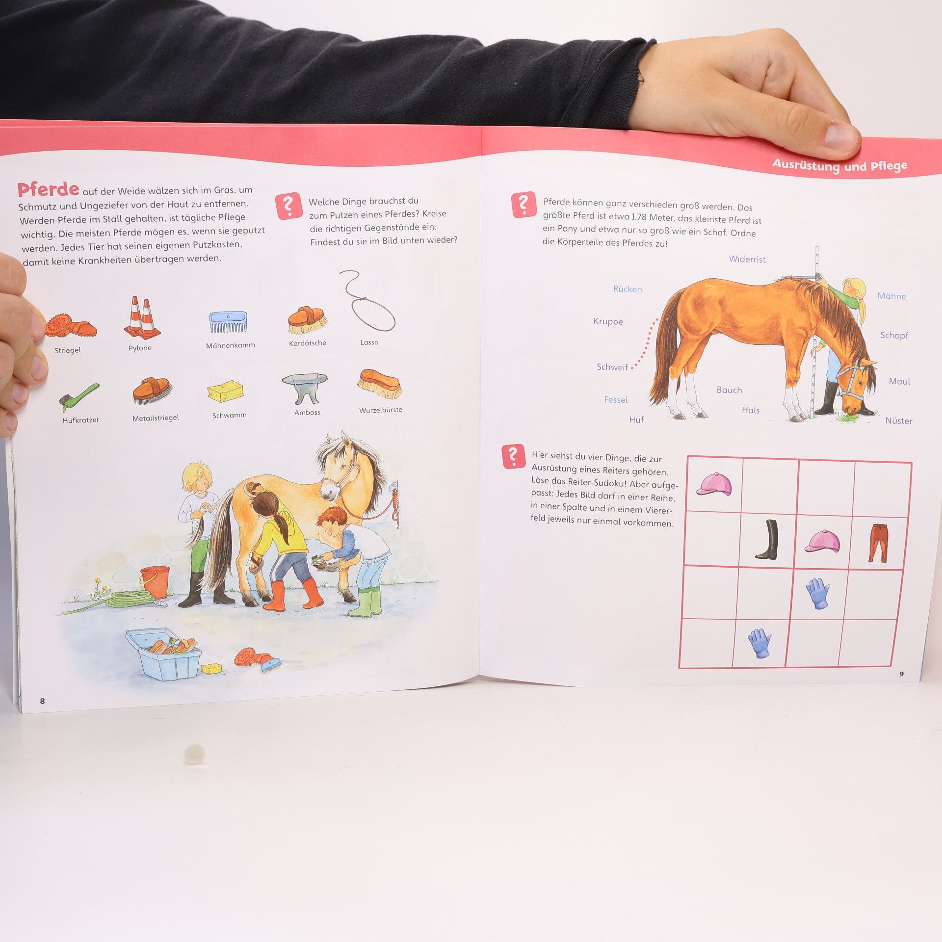 Kolektiv autorů Pferde und Ponys