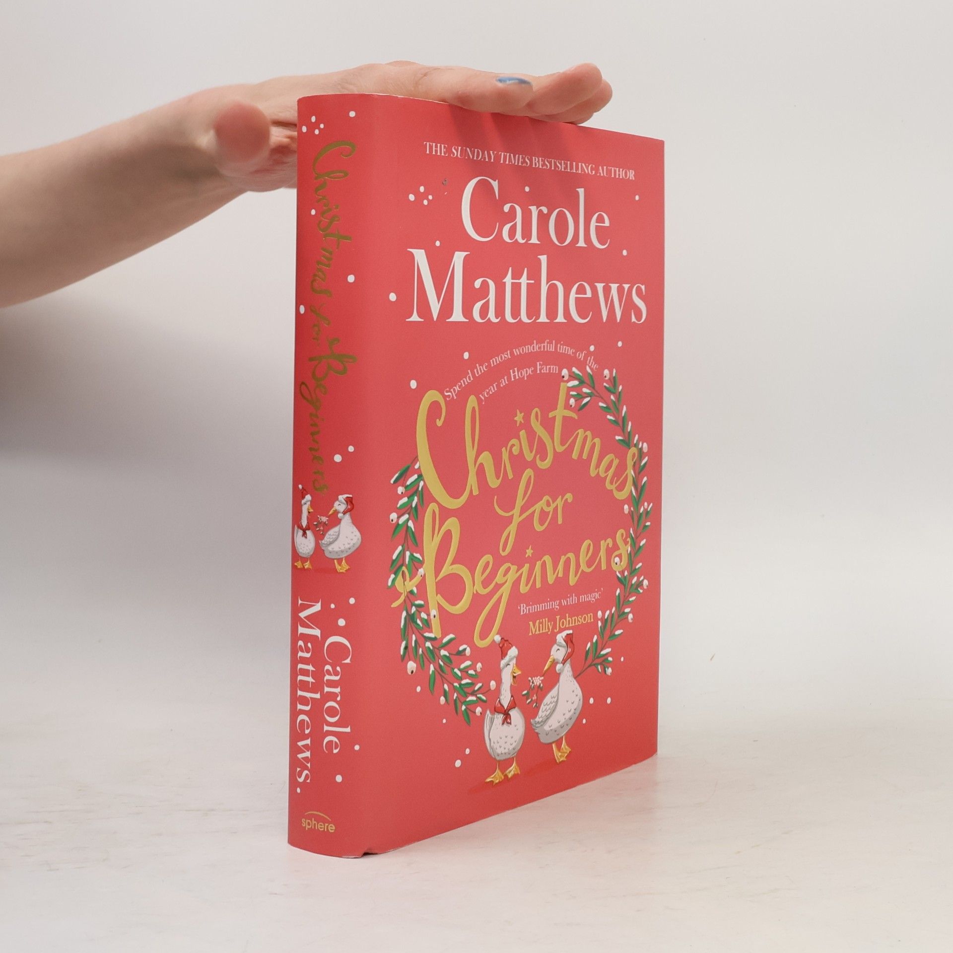 Carole Matthews Christmas for Beginners