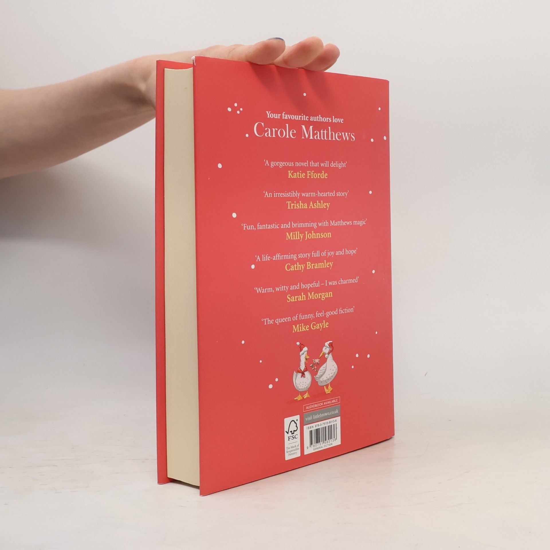 Carole Matthews Christmas for Beginners